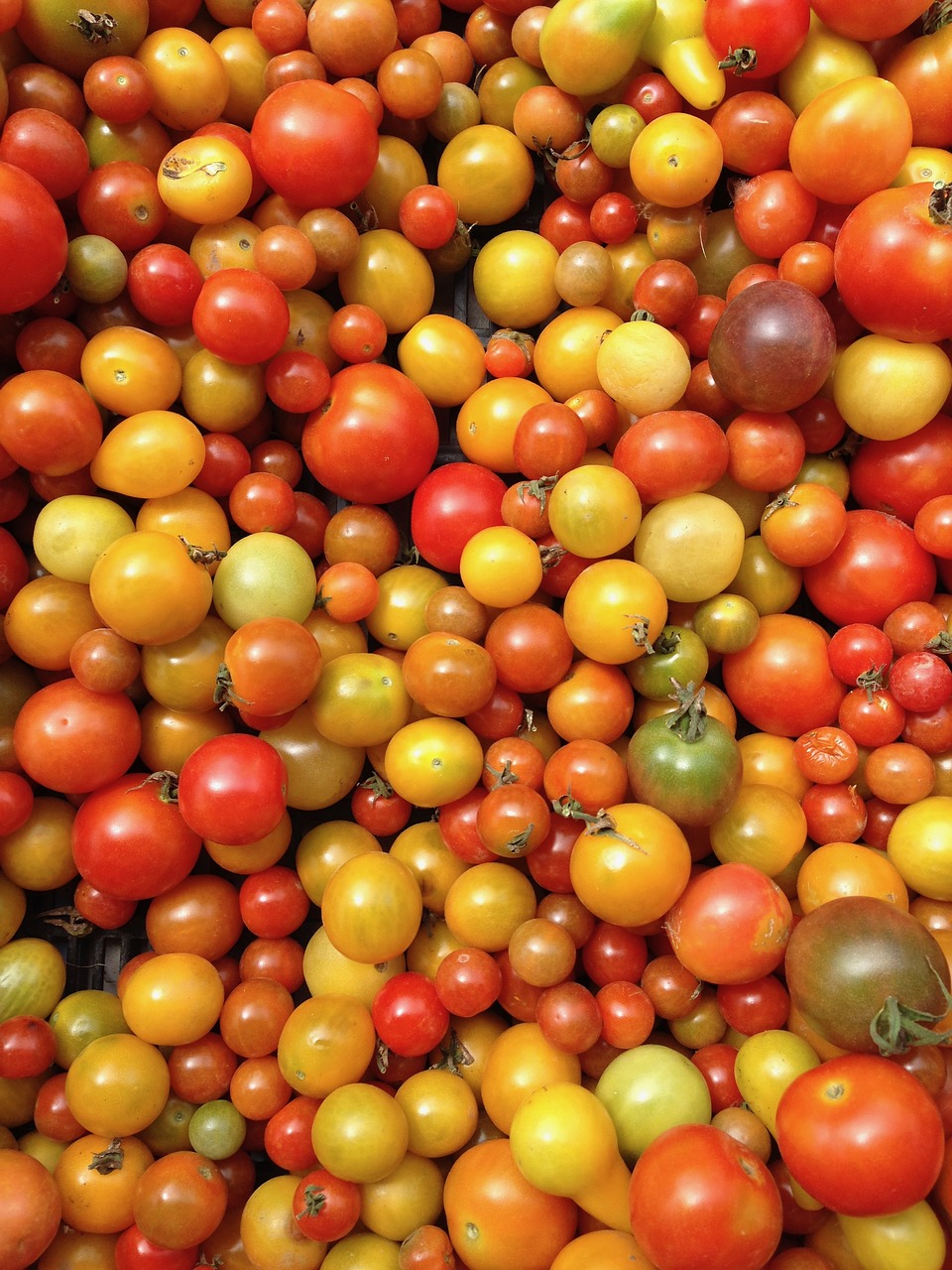 Pomidorai, Daržovės, Turgus, Sveikas, Geltona, Raudona, Prinokę, Šviežias, Ekologiškas, Derlius
