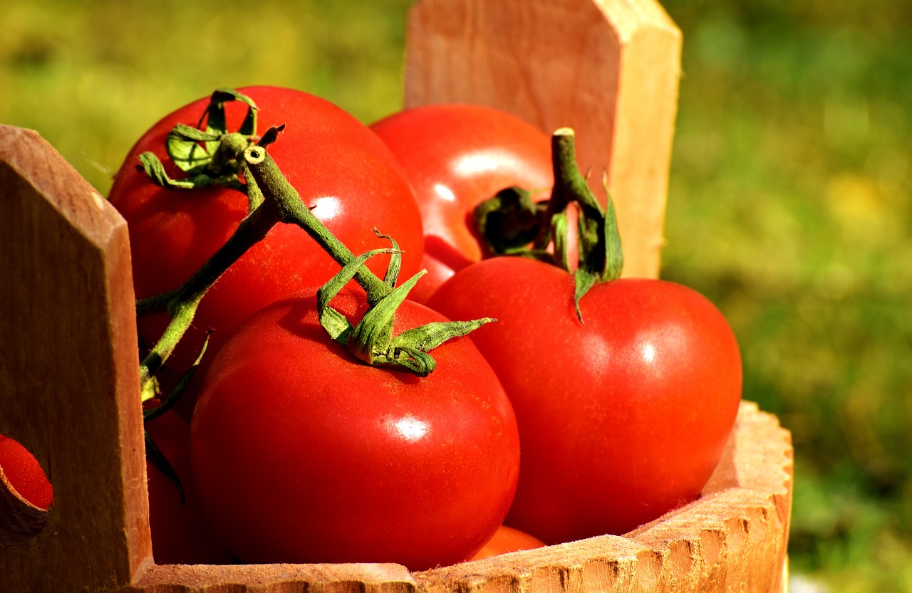Pomidorai, Daržovės, Kibiras, Prinokę, Raudona, Sveikas, Gamta, Vitaminai, Maistas, Nemokamos Nuotraukos