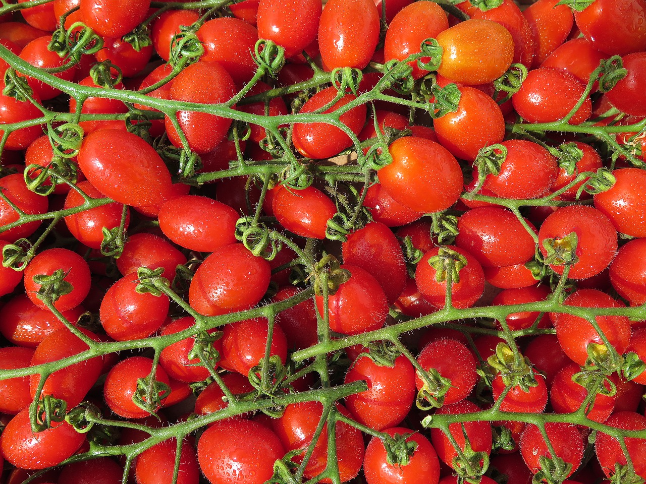 Pomidorai, Vyšniniai Pomidorai, Bio, Raudona, Daržovės, Maistas, Vyšnia, Sveikas, Vegetariškas, Frisch