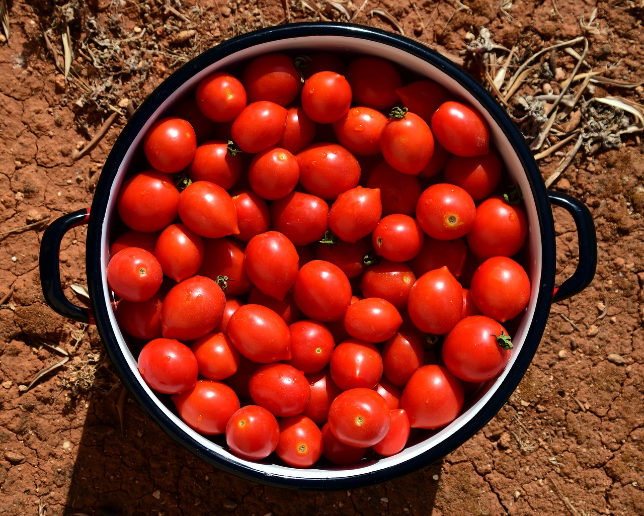 Pomidorai, Puodą, Puodas, Pomidorų Padažas, Virėjas, Paruošti, Uždaryti, Viduržemio Jūros, Italy, Italijos Virtuvė