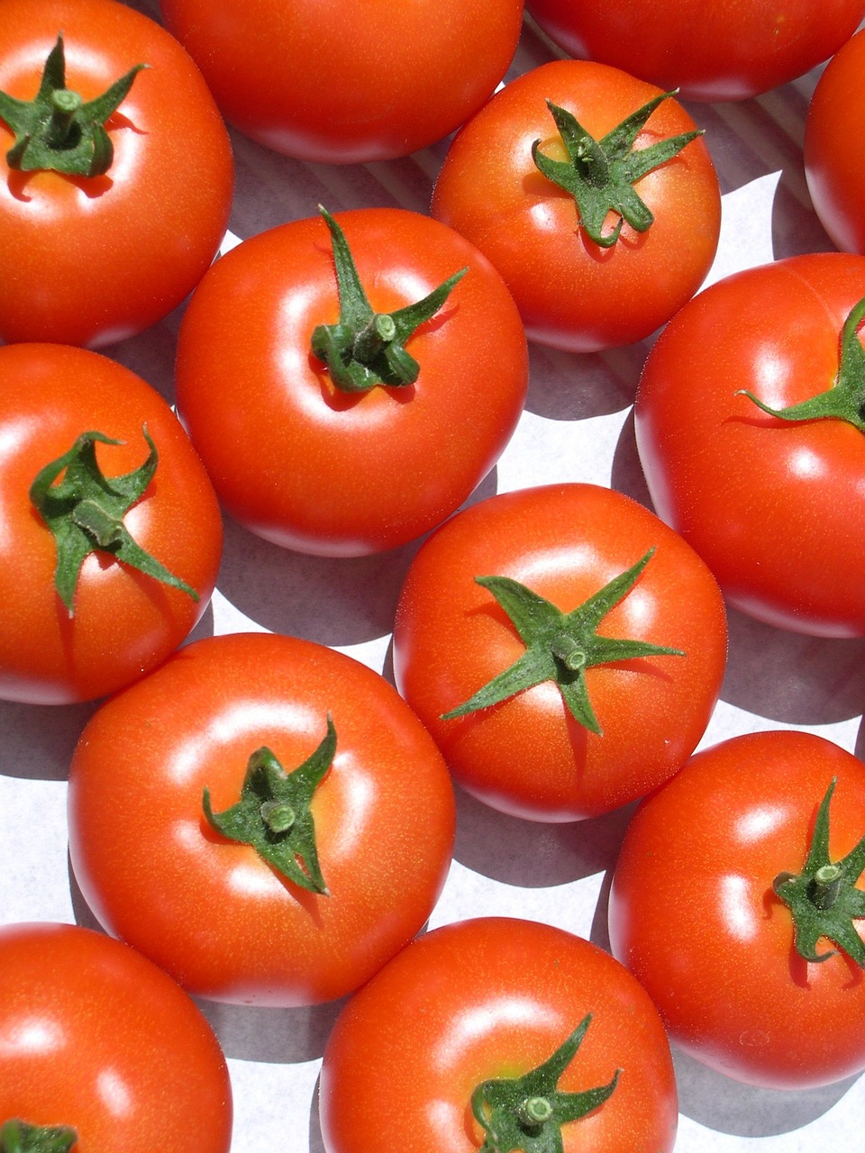 Pomidorai, Apvalūs Pomidorai, Daug Pomidorų, Bio, Sveika Dieta, Raudona, Daržovės, Valgyti, Maistas, Frisch