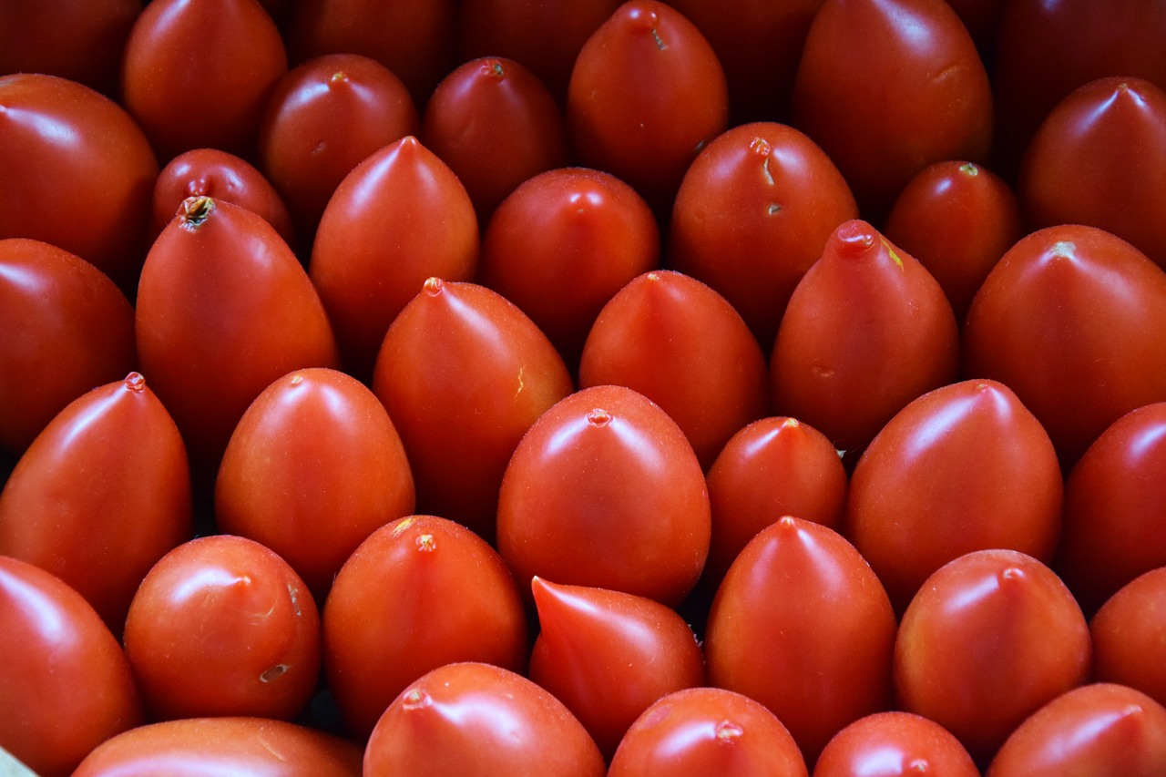 Pomidorai,  Raudona,  Daržovės,  Pomidorų,  Maisto,  Sodas,  Virtuvė,  Pobūdį,  Daigus Pomidorų,  Valgyti