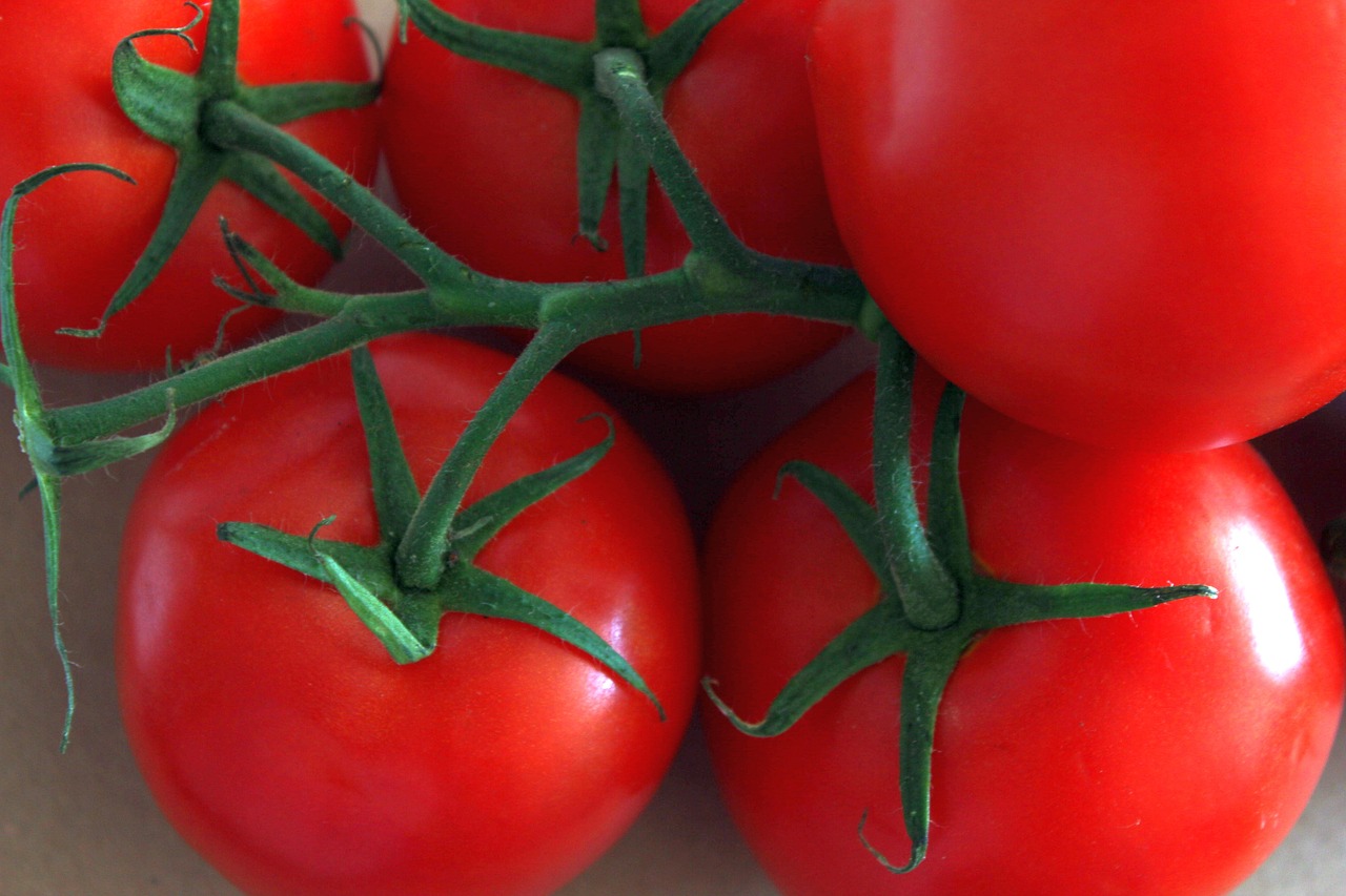 Pomidorai,  Maisto,  Valgyti,  Augalų,  Receptas,  Ekranas,  Šviežias,  Vegetarų,  Sveiki,  Skanus