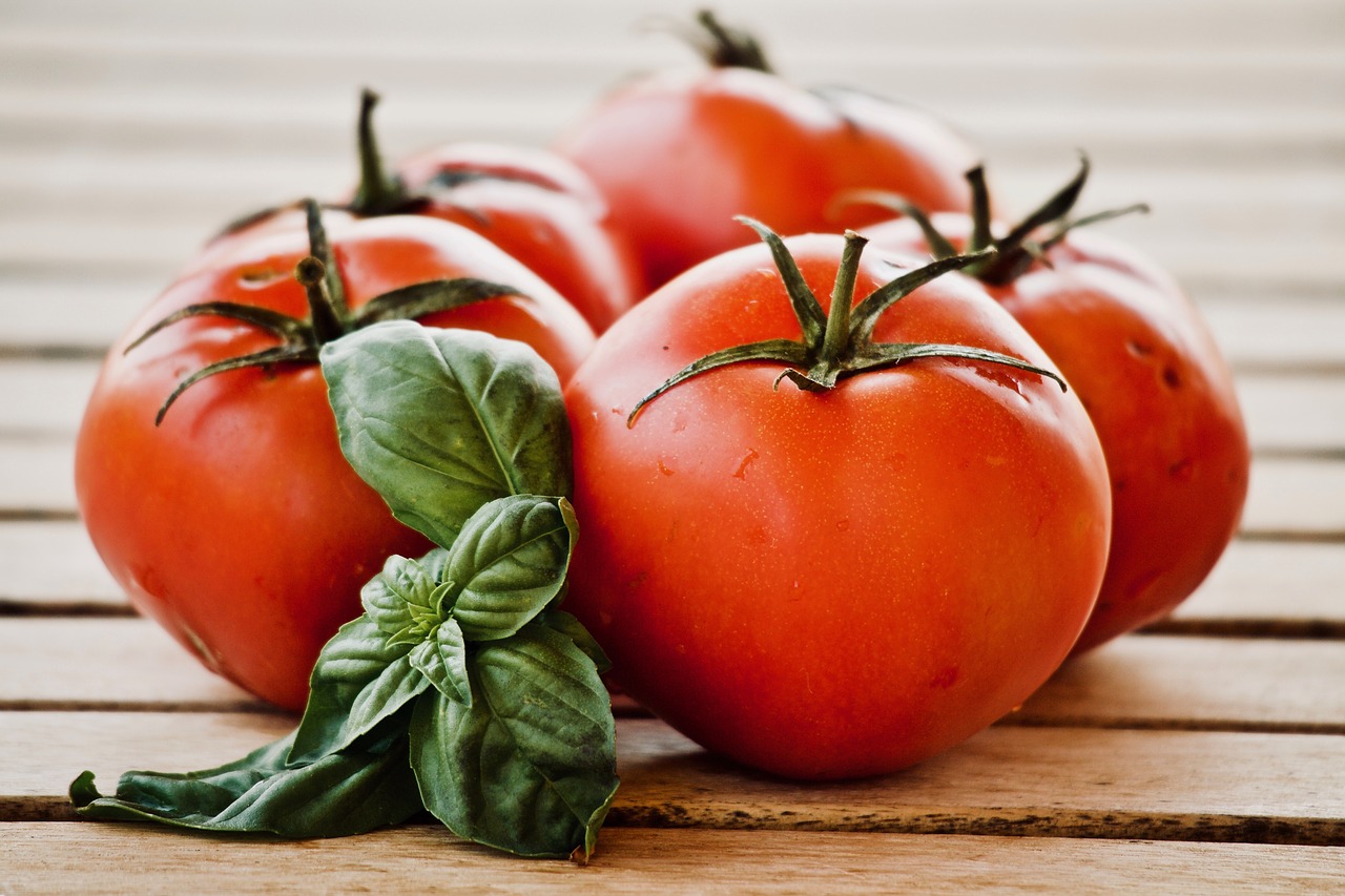 Pomidorai,  Bazilikų,  Maisto,  Maisto Produktais,  Sano,  Saunus,  Italų,  Viduržemio Jūros,  Mitybos,  Vegetarų