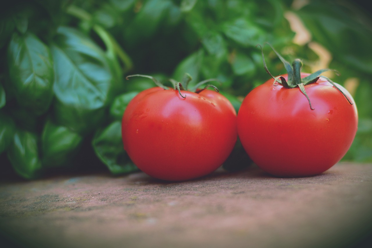 Pomidorai,  Santvaros,  Krūmas Pomidorai,  Bazilikų,  Vegetarų,  Maisto,  Daržovės,  Šviežias,  Raudona,  Vitaminai