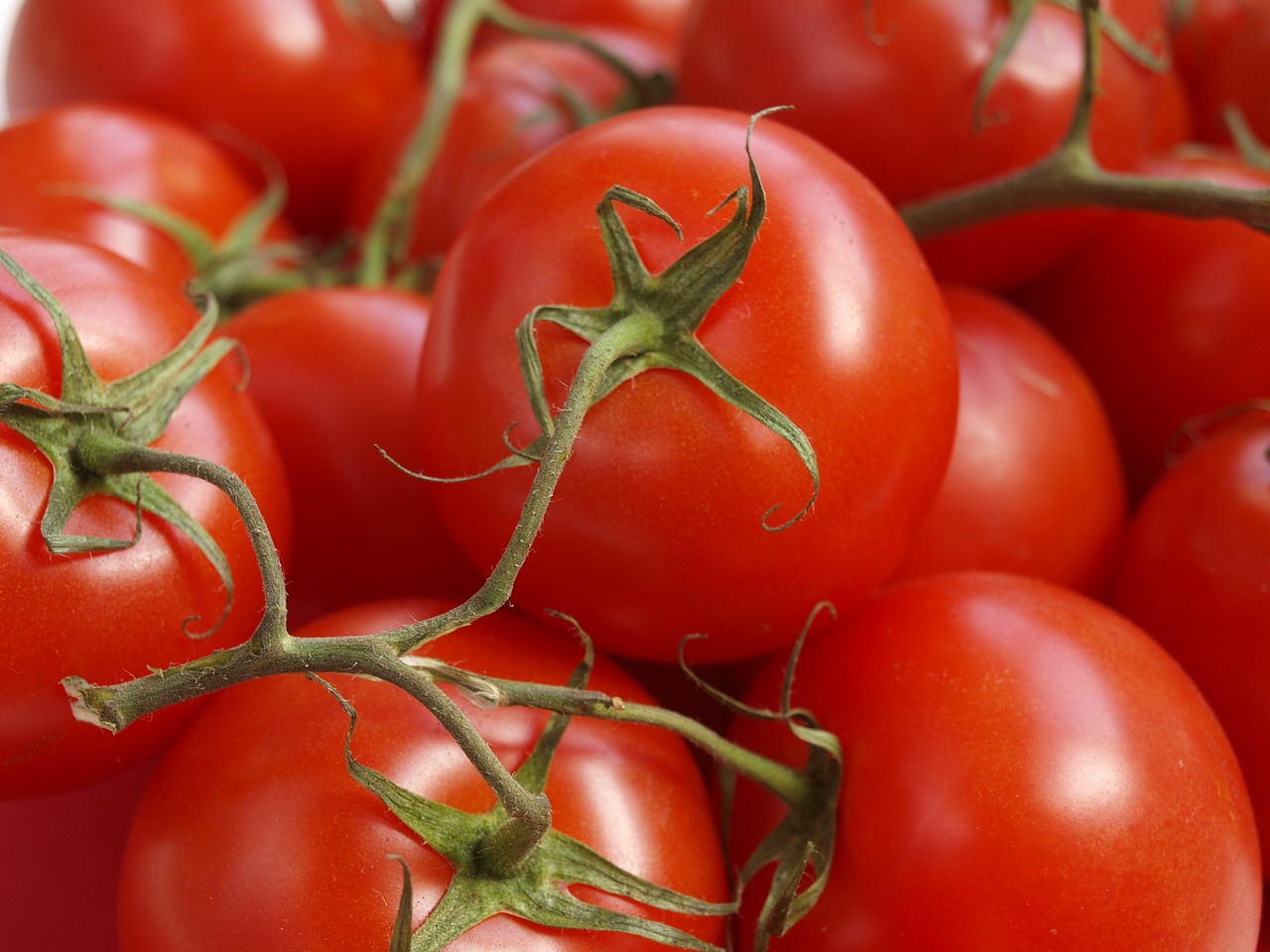 Pomidorai,  Pomidorų Šaka,  Prinokusių Pomidorai,  Raudona Vaisių,  Maisto,  Sveiki,  Ingredientai Gazpacho,  Salotos,  Mitybos,  Organinė