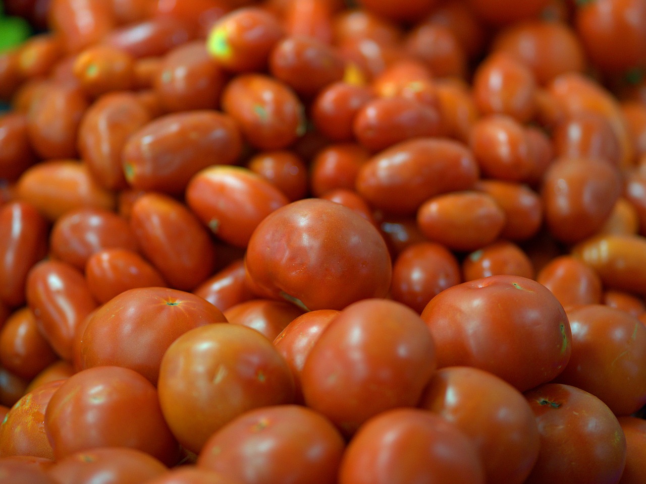 Pomidorai,  Šviežias,  Raudona,  Daržovės,  Sveiki,  Virėjas,  Maisto,  Žalias,  Prinokę,  Skanus