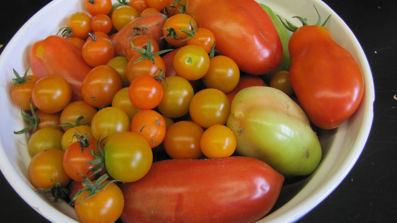 Pomidorai, Vasara, Derlius, Šviežias, Ekologiškas, Vegetariškas, Nemokamos Nuotraukos,  Nemokama Licenzija