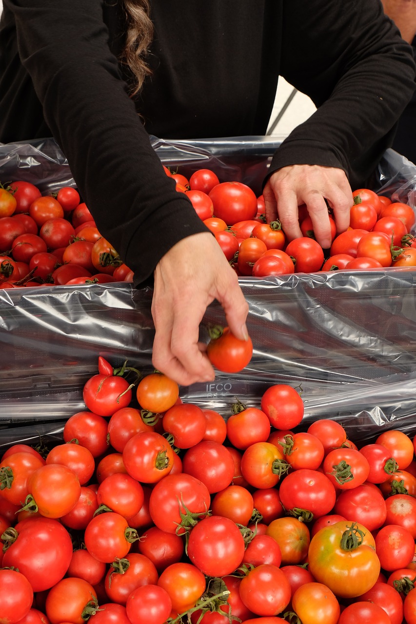 Pomidorai, Sveikas, Ekologiškas, Turgus, Nemokamos Nuotraukos,  Nemokama Licenzija