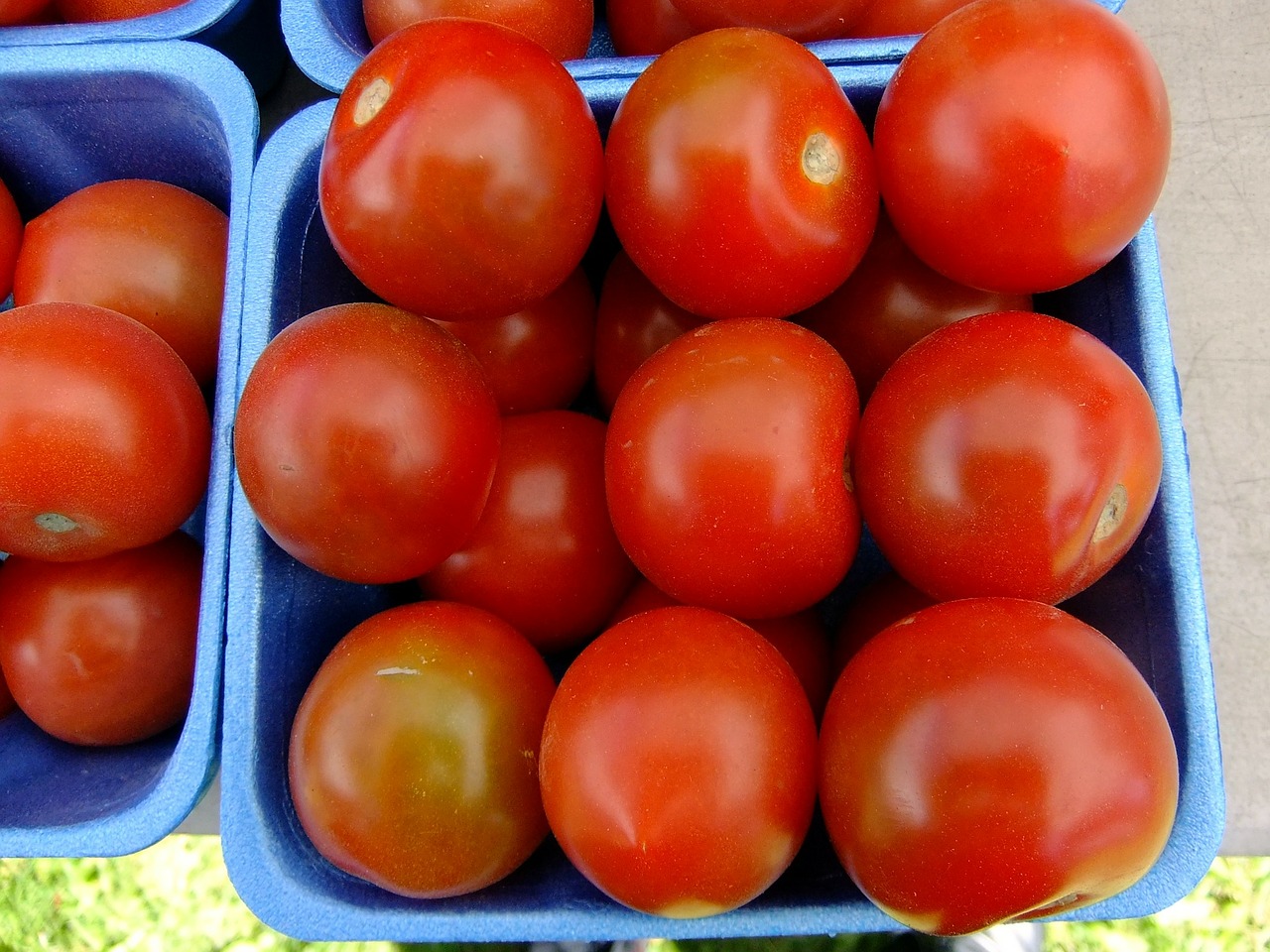 Pomidorai, Vaisiai, Sodas, Sveikas, Šviežias, Ekologiškas, Natūralus, Vegetariškas, Mityba, Mityba