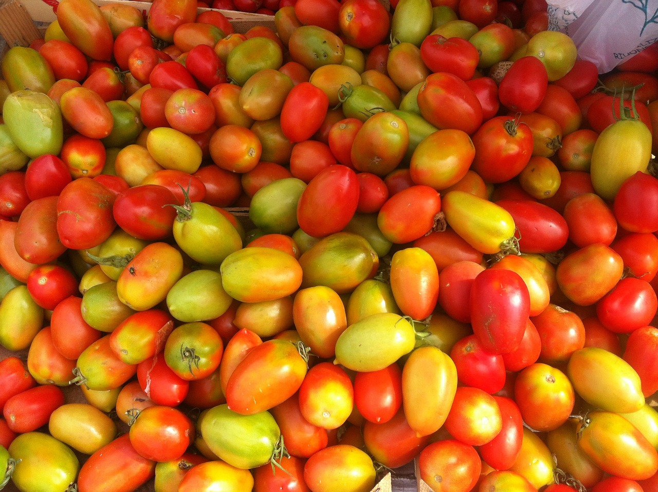 Pomidorai, Geltona, Raudona, Nemokamos Nuotraukos,  Nemokama Licenzija