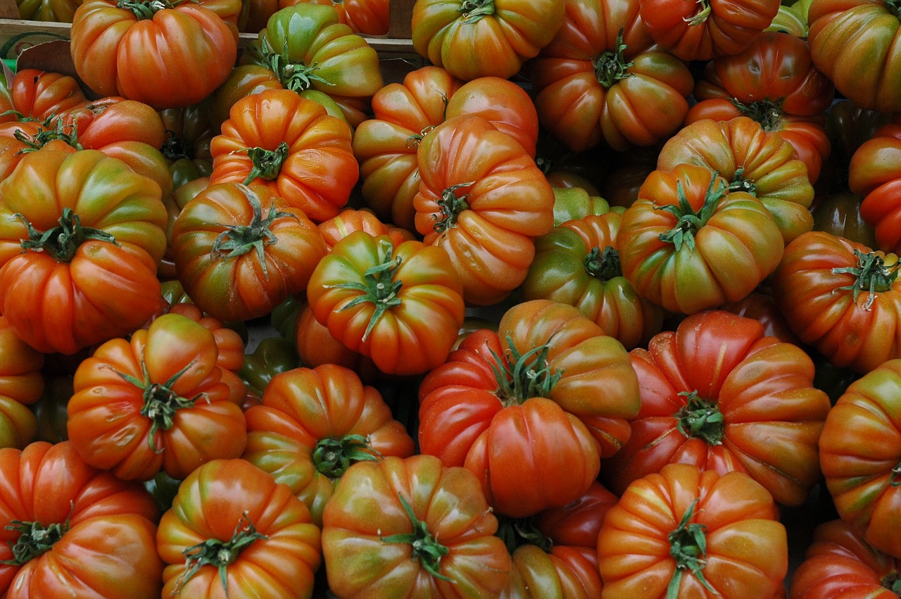 Pomidorai,  Ekologiškas,  Vaisių, Nemokamos Nuotraukos,  Nemokama Licenzija