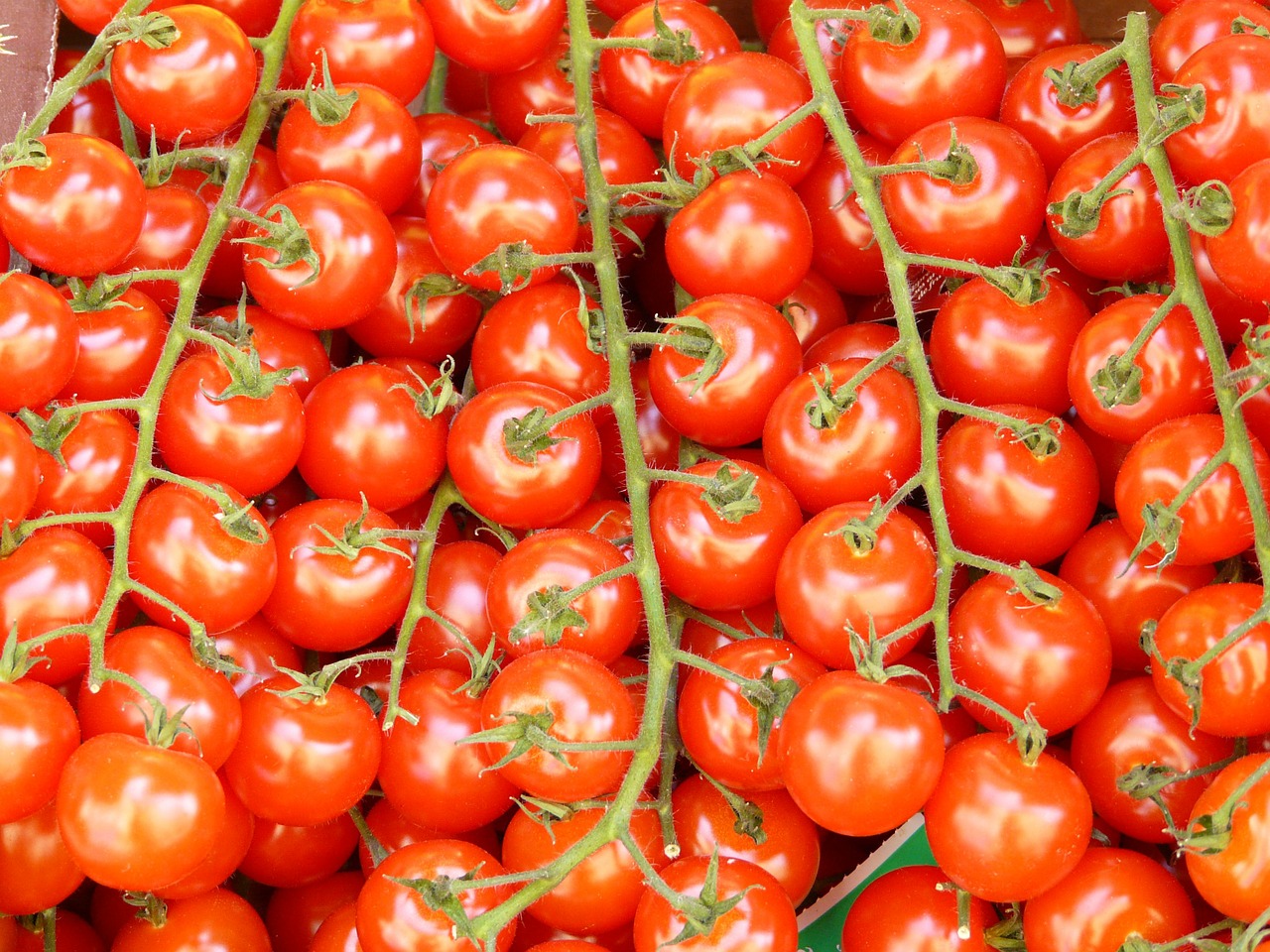 Pomidorai, Tomatenrispe, Daržovės, Raudona, Maistas, Vitaminai, Sveikas, Nemokamos Nuotraukos,  Nemokama Licenzija