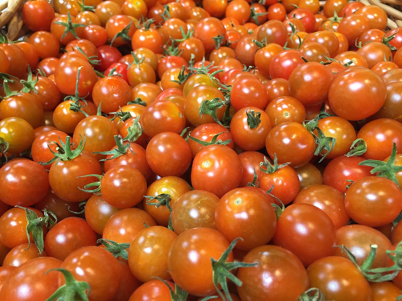 Pomidorai, Vyšniniai Pomidorai, Ekologiškas, Šviežias, Raudona, Prinokę, Maistas, Skanus, Žaliavinis, Nemokamos Nuotraukos