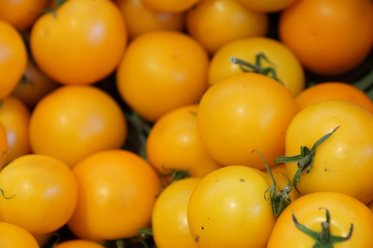 Pomidorai,  Sveikas,  Geltona,  Daržovės, Nemokamos Nuotraukos,  Nemokama Licenzija
