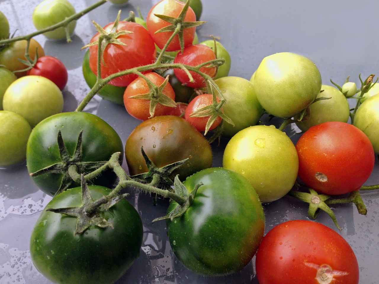 Pomidorai, Daržovės, Sodas, Nemokamos Nuotraukos,  Nemokama Licenzija