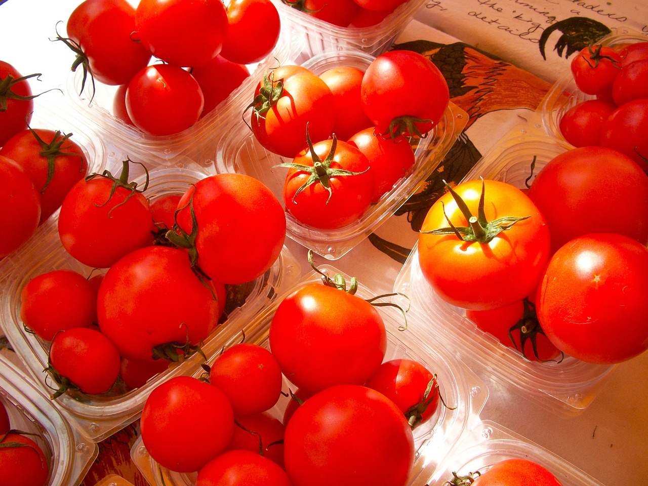 Pomidorai, Daržovės, Sveikas, Šviežias, Ekologiškas, Maistas, Natūralus, Turgus, Nemokamos Nuotraukos,  Nemokama Licenzija