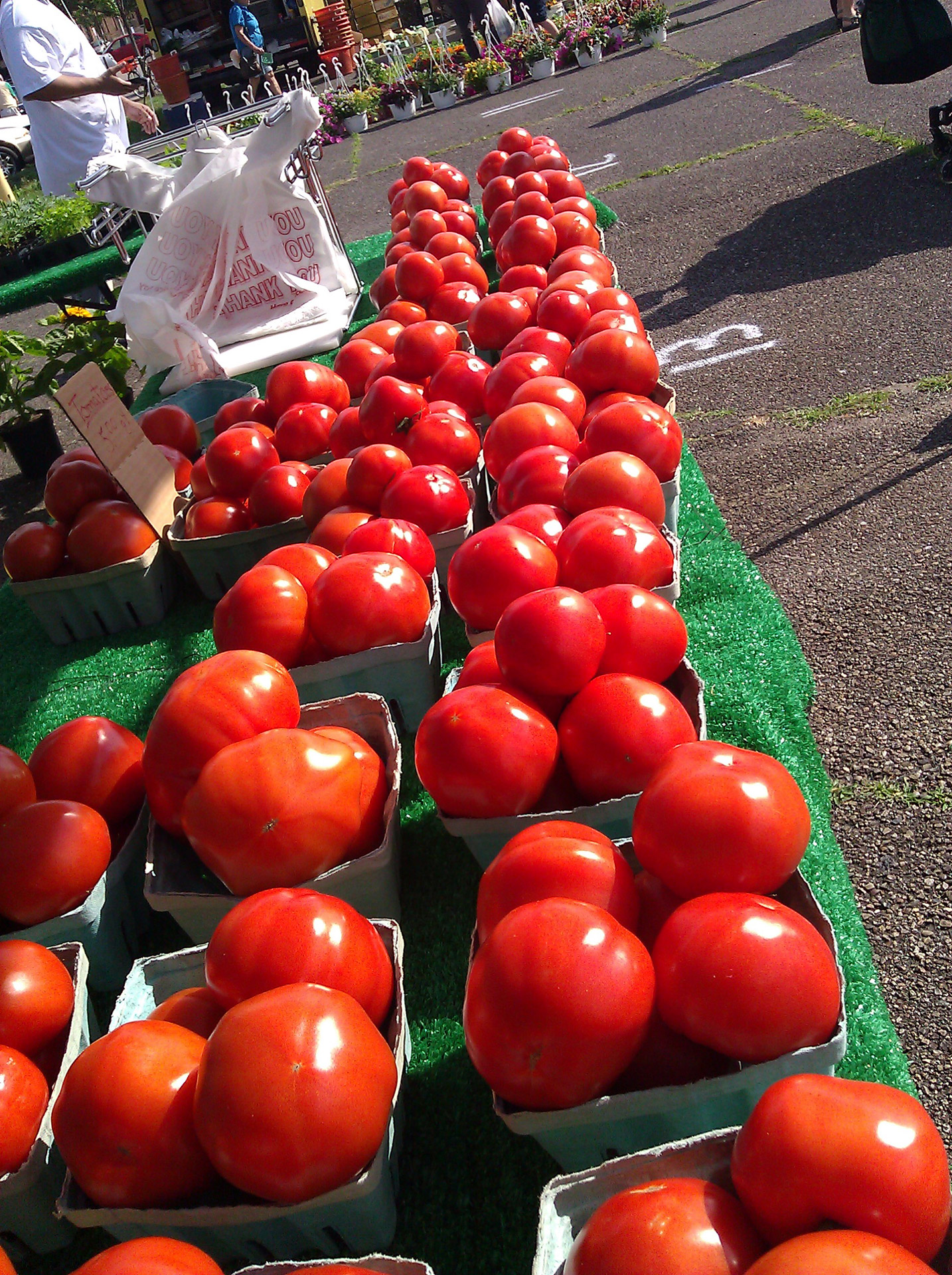 Pomidorai,  Ūkininkai,  Turgus,  Pomidorai, Nemokamos Nuotraukos,  Nemokama Licenzija
