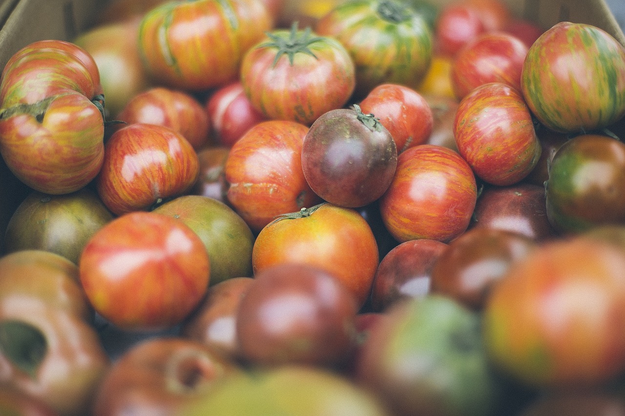 Pomidorai, Daržovės, Maistas, Šviežias, Sveikas, Ekologiškas, Raudona, Žalias, Šviežios Daržovės, Mityba
