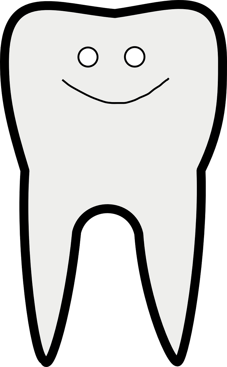 Dantis, Dantų Priežiūra, Laimingas, Smiley, Šypsena, Balta, Dantys, Odontologija, Stomatologas, Sveikata