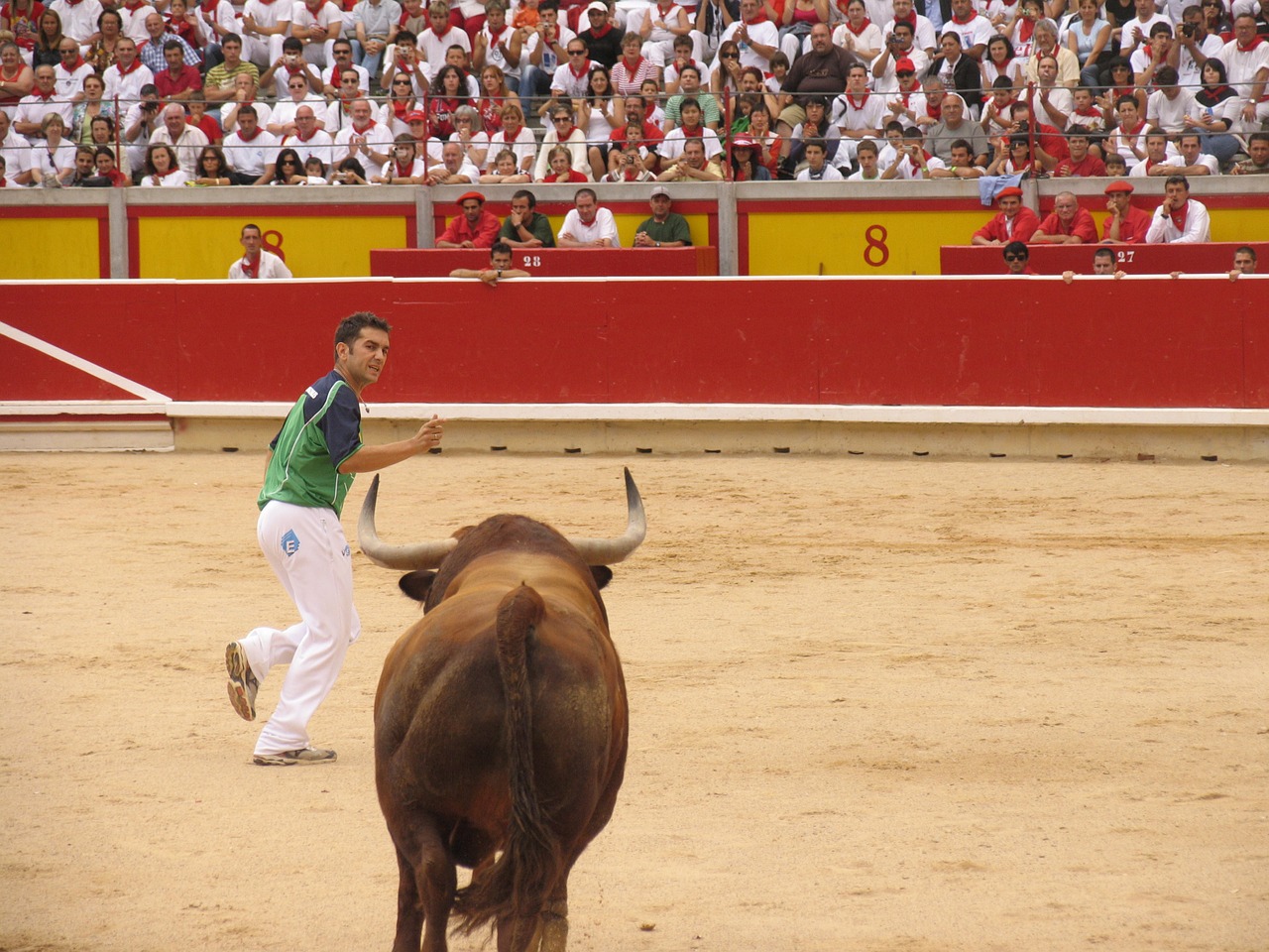 Toro, Trimmeriai, Bullring, Nemokamos Nuotraukos,  Nemokama Licenzija