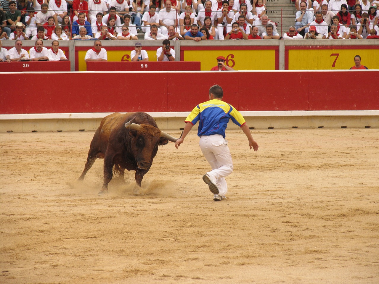 Toro, Trimmeriai, Bullring, Nemokamos Nuotraukos,  Nemokama Licenzija