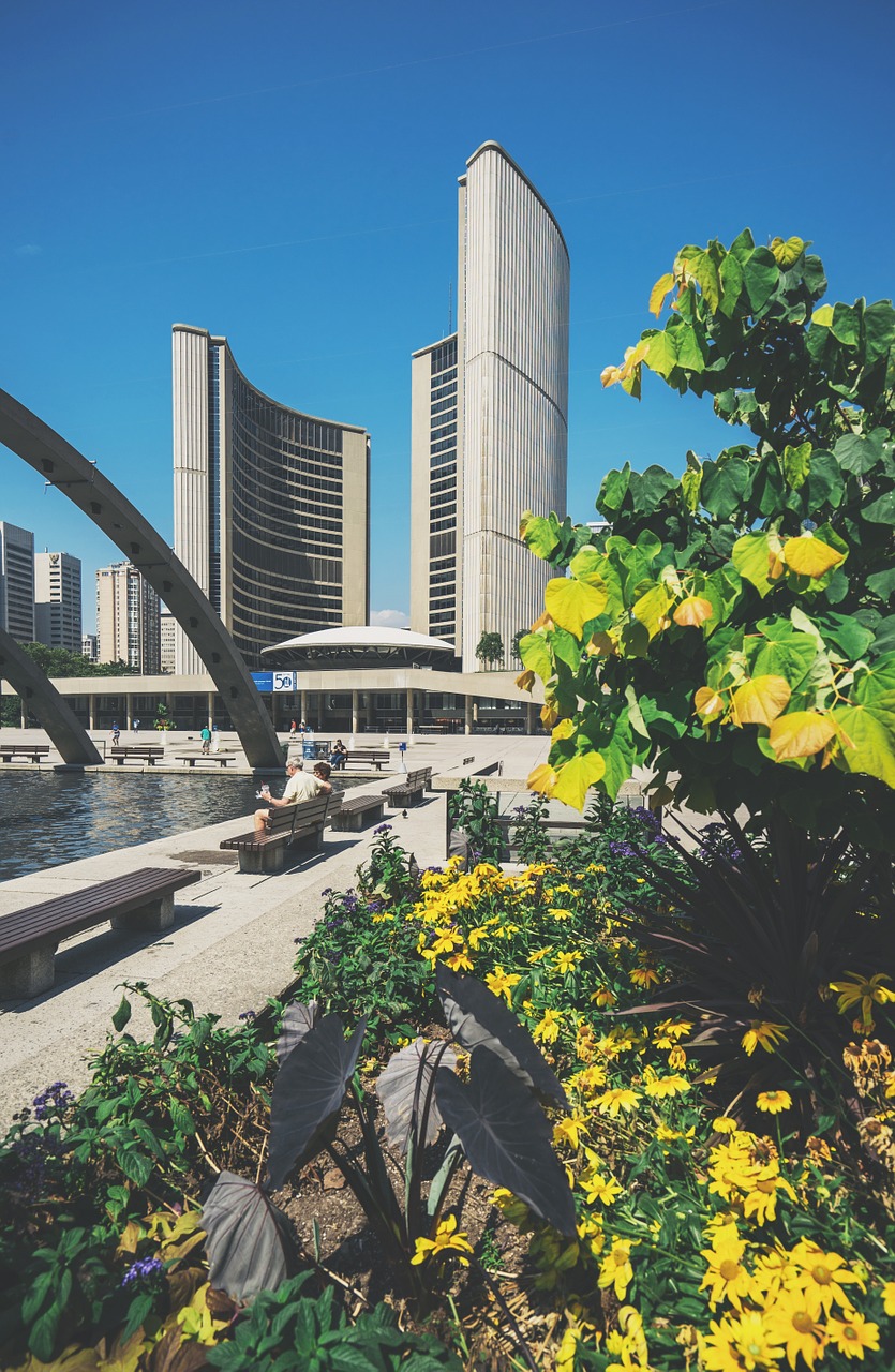 Toronto Miesto Rotušė, Nauja Miesto Salė, Toronto, Kanada, Architektūra, Fasadas, Ontarijas, Pastatas, Šiuolaikiška, Centro