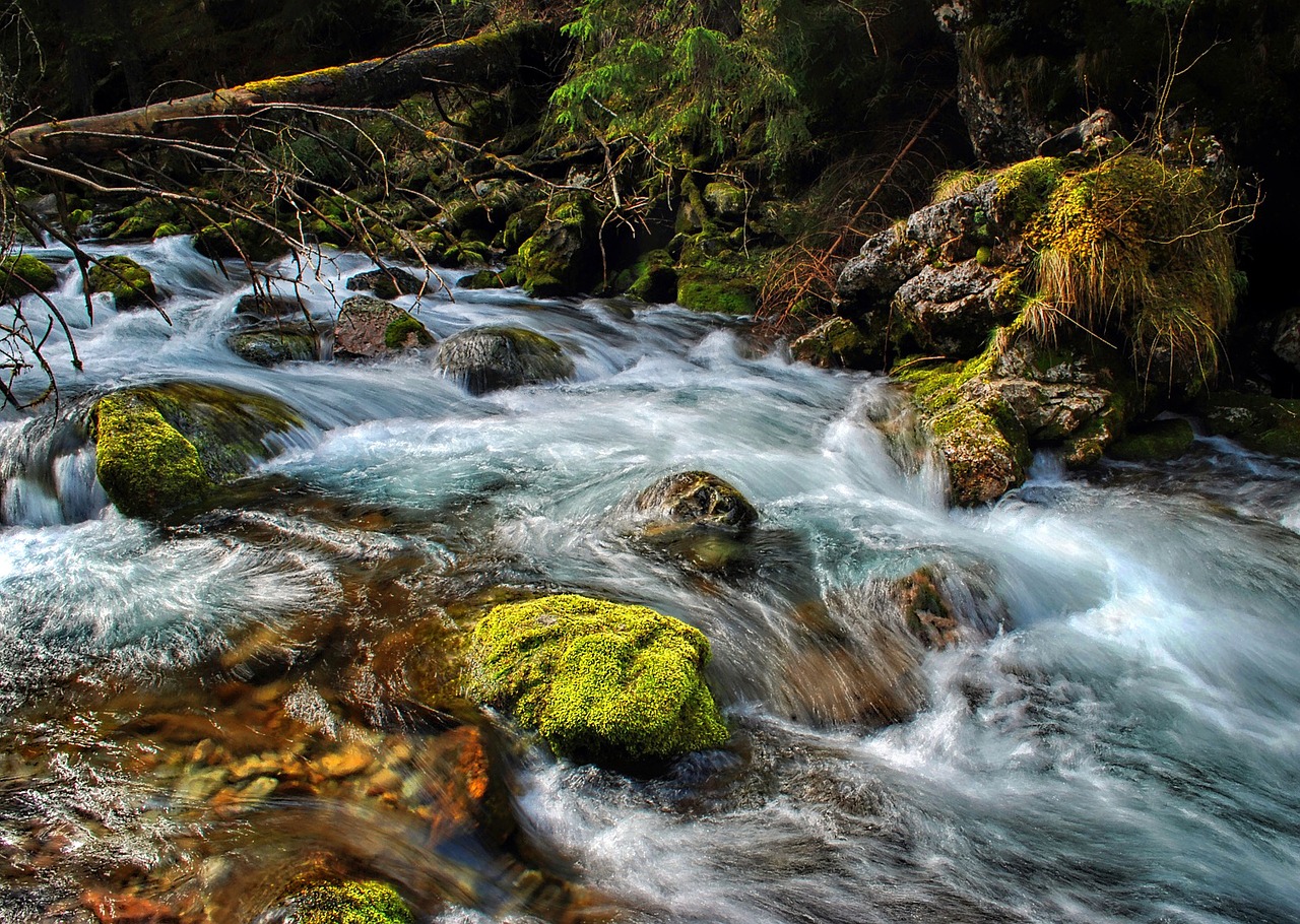 Torrent, Srautas, Tatry, Kalnai, Vanduo, Akmenys, Gamta, Srautas, Kraštovaizdis, Nemokamos Nuotraukos