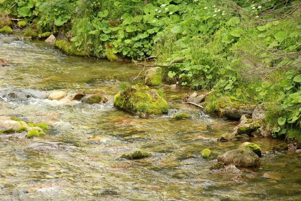 Torrent,  Kalnai,  Kalnų Upelis,  Akmenys,  Kraštovaizdis,  Srautas,  Vandens,  Triukšmo,  Turizmas,  Pobūdį