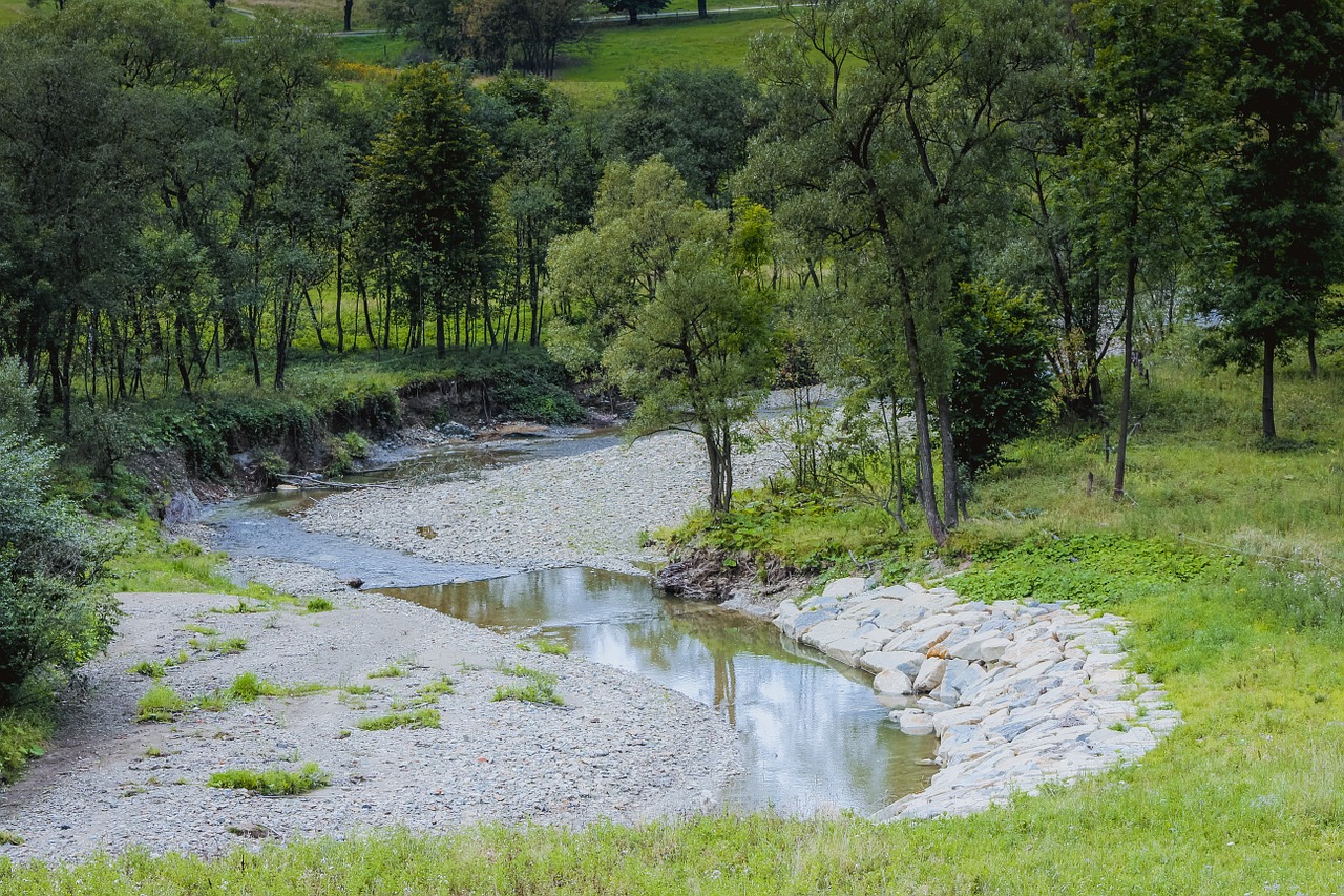 Torrent, Upė, Akmenys, Medis, Upelis, Srautas, Srautas, Šlapias, Vanduo, Nemokamos Nuotraukos