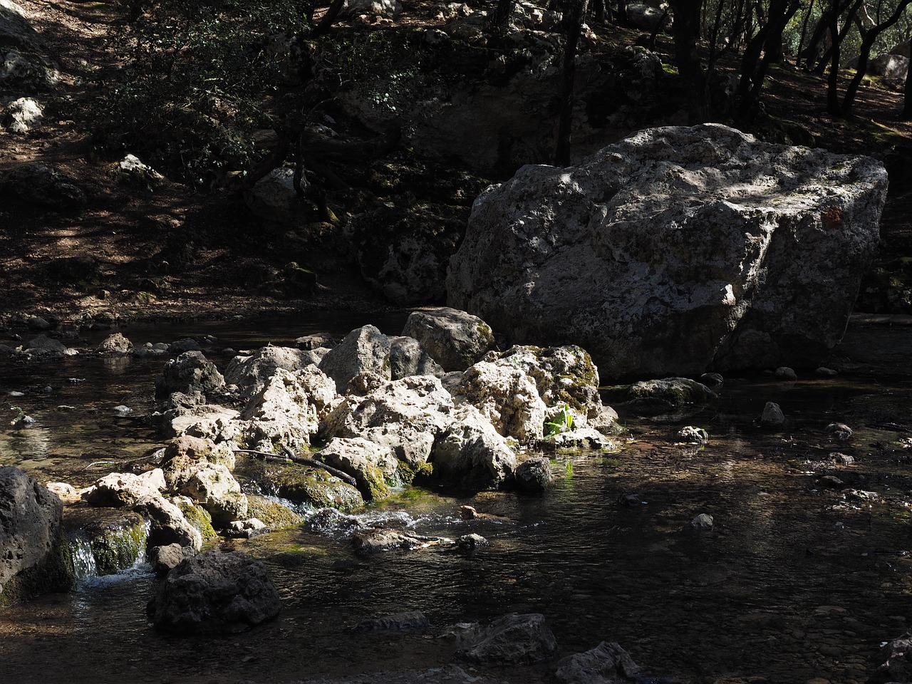 Torrente De Coanegra, Upė, Vanduo, Orientyro Slėnis, Maljorka, Orientuotis, Nemokamos Nuotraukos,  Nemokama Licenzija