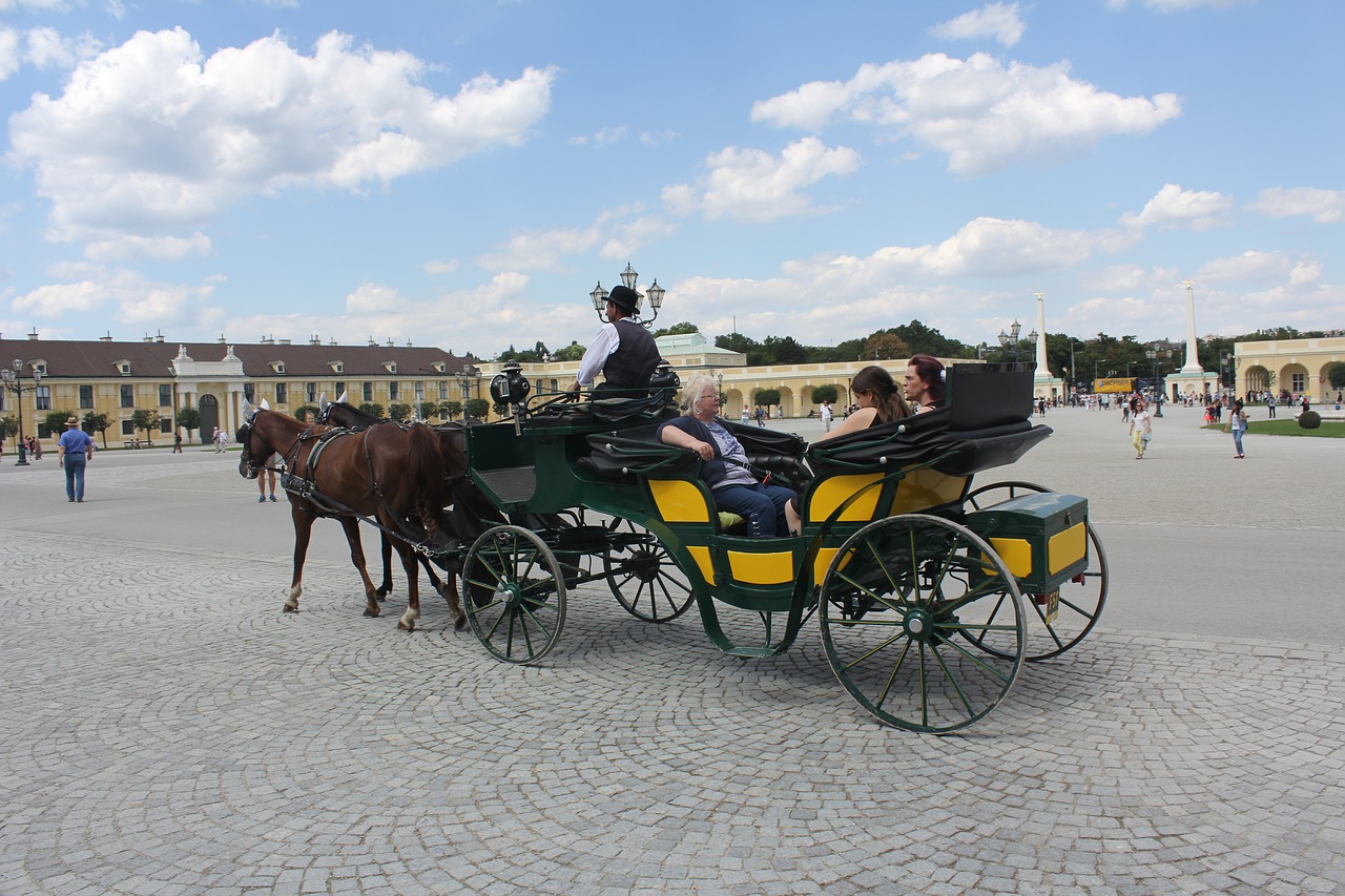 Turizmas, Arklys, Kelionė, Žmonės, Vežimas, Vienna, Lauke, Nemokamos Nuotraukos,  Nemokama Licenzija