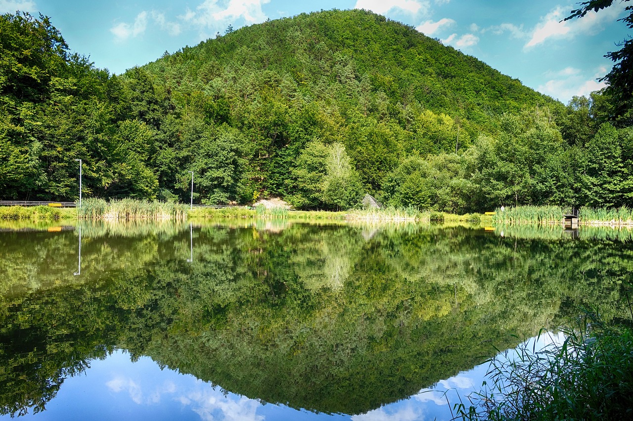 Turizmas, Zemplén, Vengrija, Lankytinos Vietos, Gamta, Kraštovaizdis, Kalnai, Vengrų Kraštovaizdis, Miškas, Medžiai