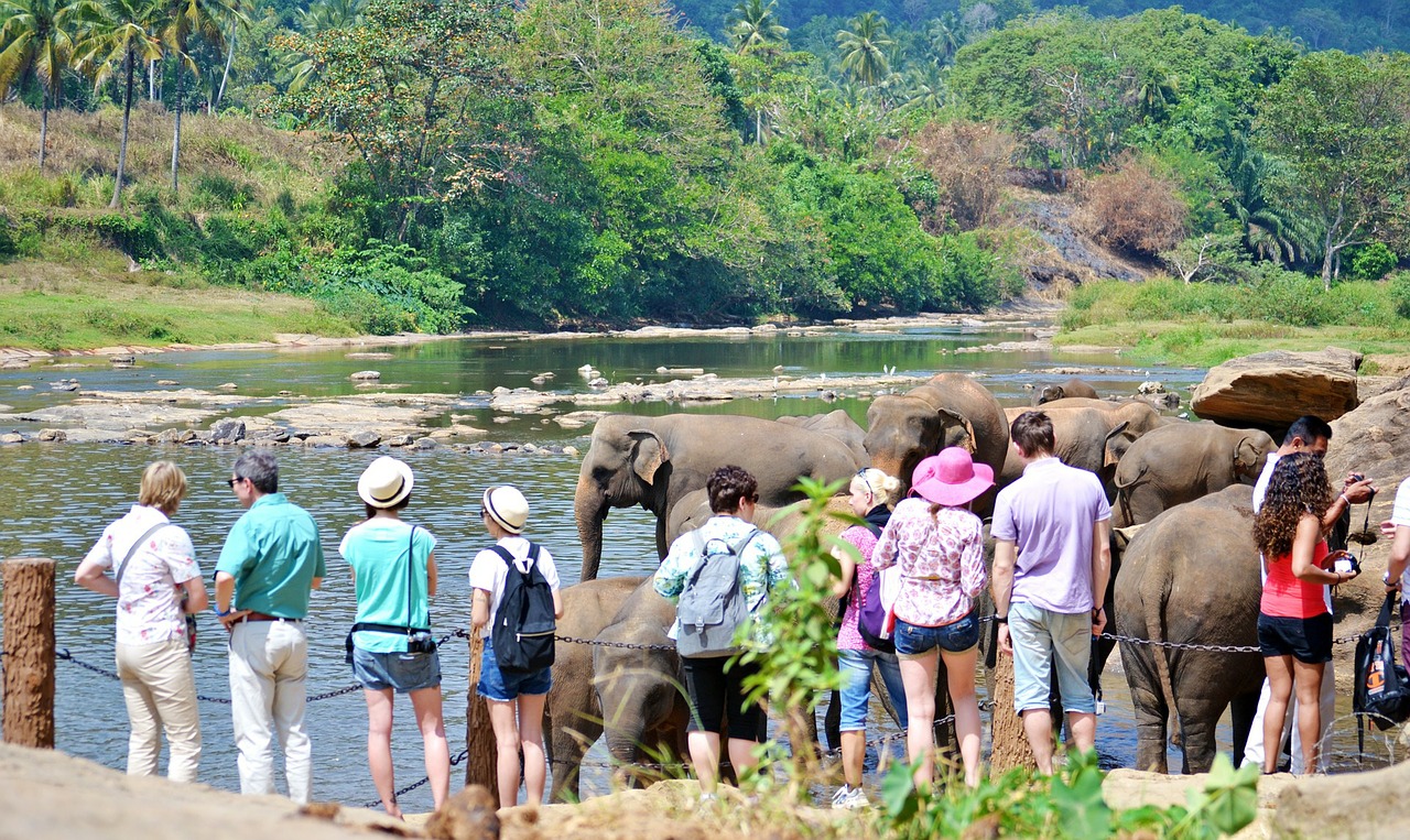 Turistai, Turistų Atrakcijos, Drambliai, Vonia, Saulės Vonelė, Upės Vonia, Upė, Maha Oya Upė, Šri Lanka, Pinnawala