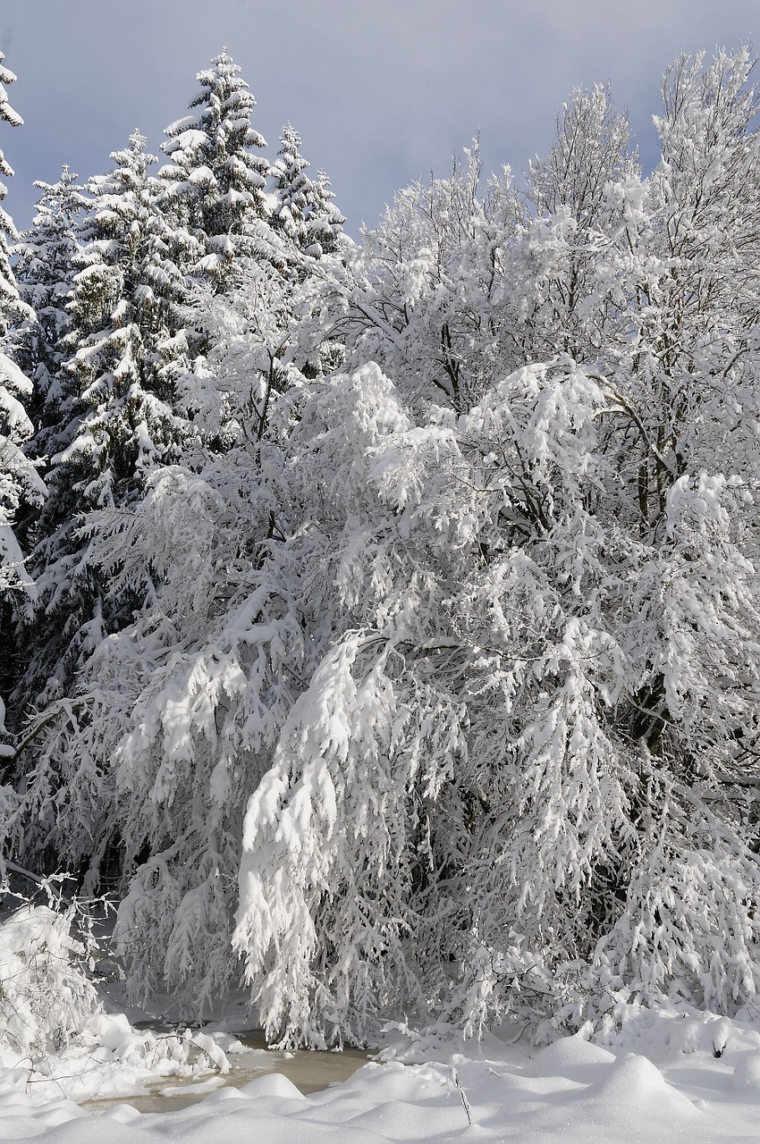 Pėdsakai, Sniegas, Aukščiausiojo Lygio Susitikimas, Alpės, Gamta, Žiema, Kalnai, Spygliuotas, Žiemos Peizažai, Nemokamos Nuotraukos