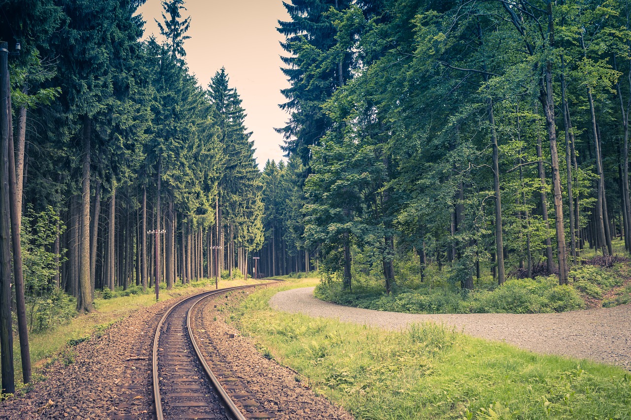 Trasa, Miškas, Siauras Geležinkelis, Fichtelbergbahn, Vokietija, Kraštovaizdis, Kelias, Ryšiai, Žolė, Medžiai