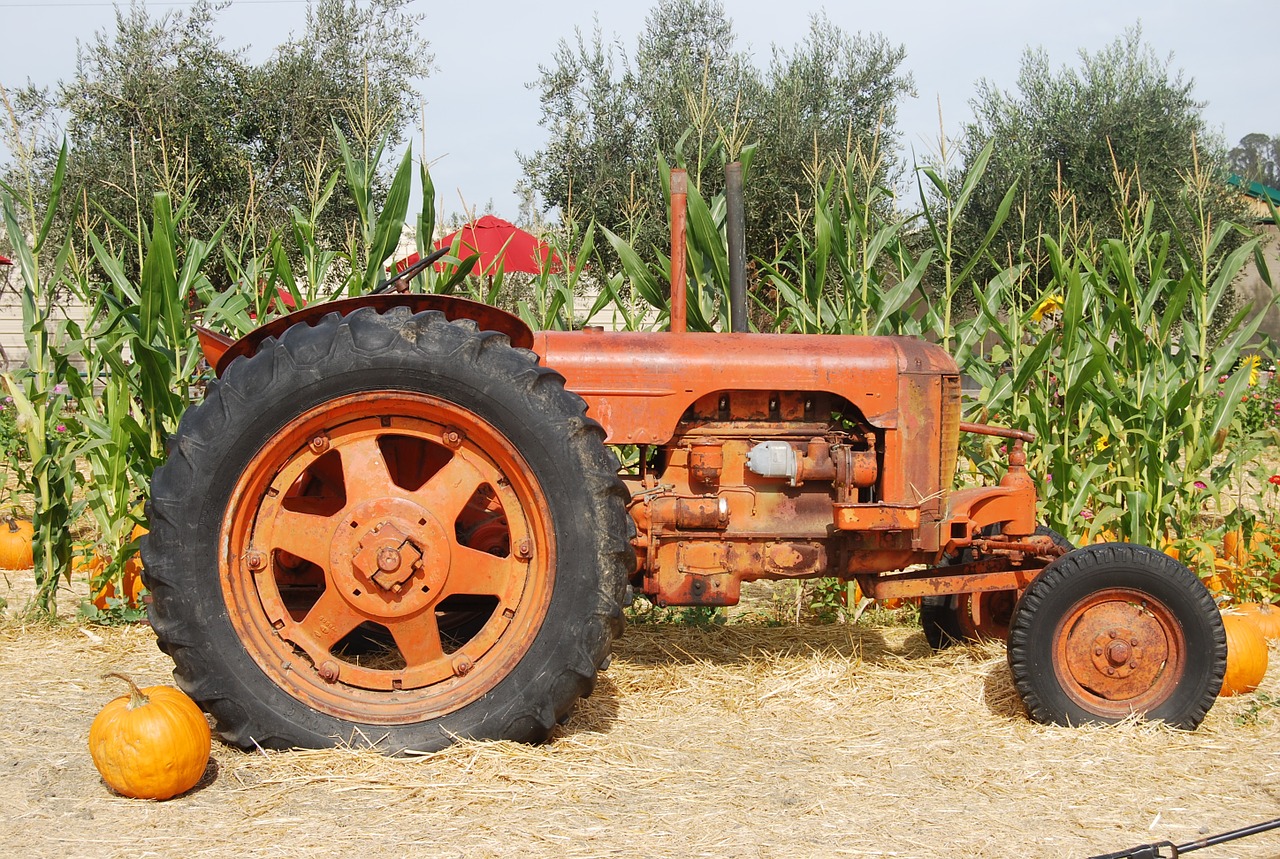 Traktorius, Senas Traktorius, Žemės Ūkio Technika, Ūkis, Kukurūzų Stiebas, Mašina, Žemės Ūkio Paskirties Žemė, Mašinos, Žemdirbystė, Vintage