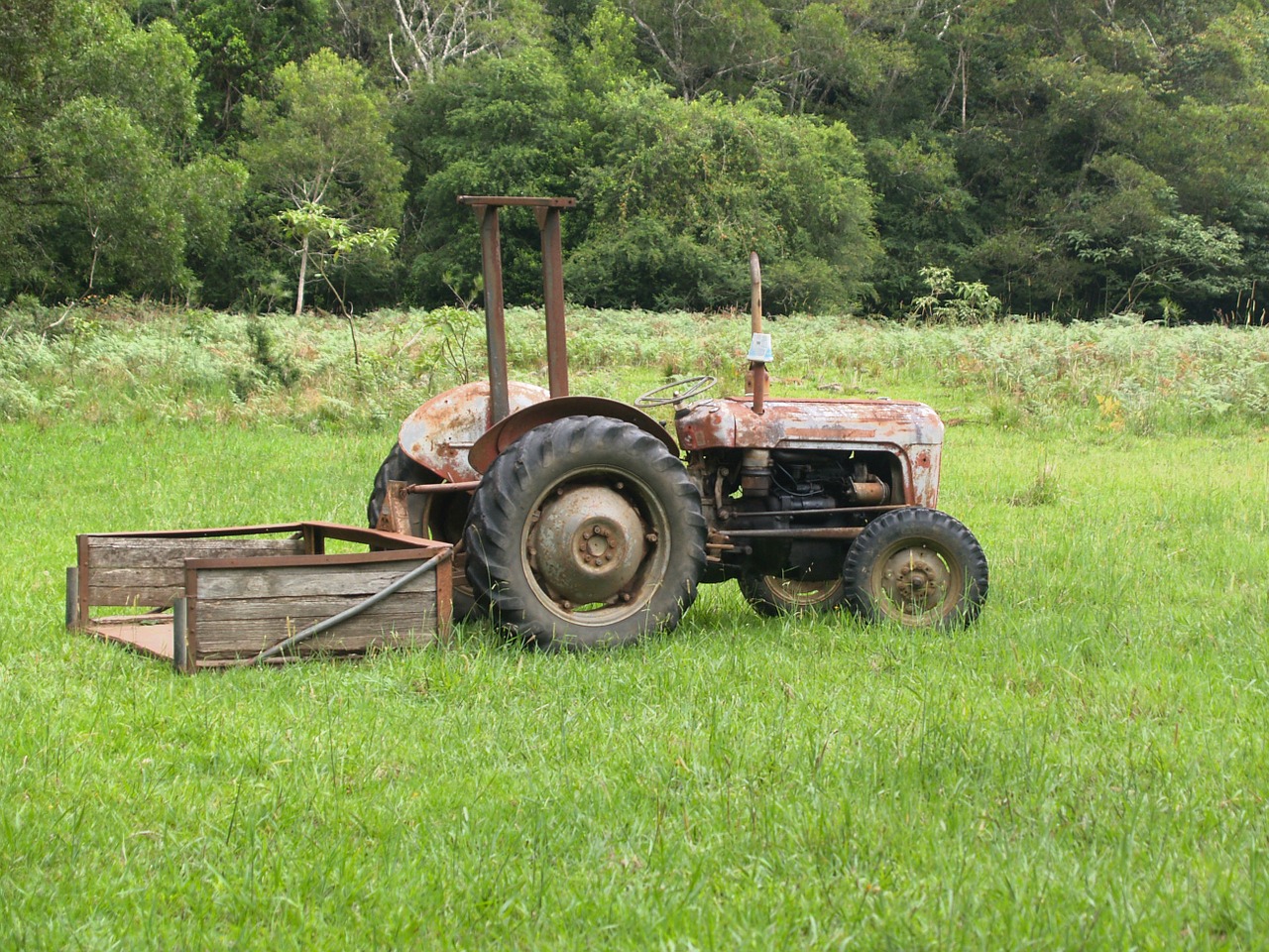 Traktorius, Senas, Ūkis, Laukas, Žemdirbystė, Ūkininkavimas, Kaimas, Ratas, Mašinos, Vintage