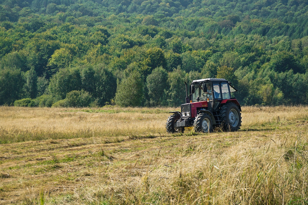 Traktorius, Laukas, Pieva, Žolė, Žolės Pjovimas, Šienavimas, Žemdirbystė, Bieszczady, Lenkija, Nemokamos Nuotraukos