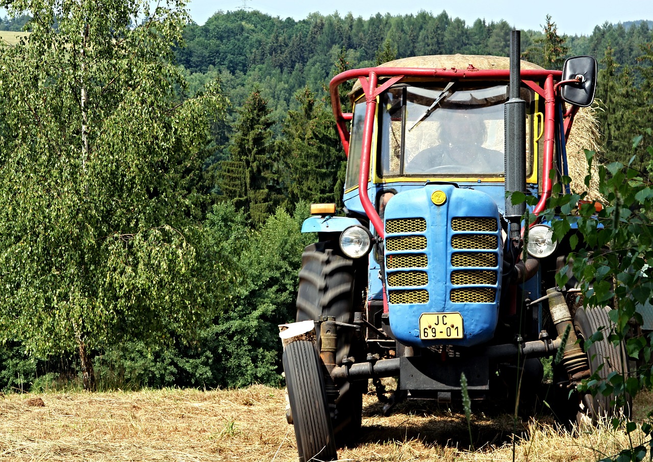 Traktorius, Laukas, Zetor, Vasara, Nemokamos Nuotraukos,  Nemokama Licenzija