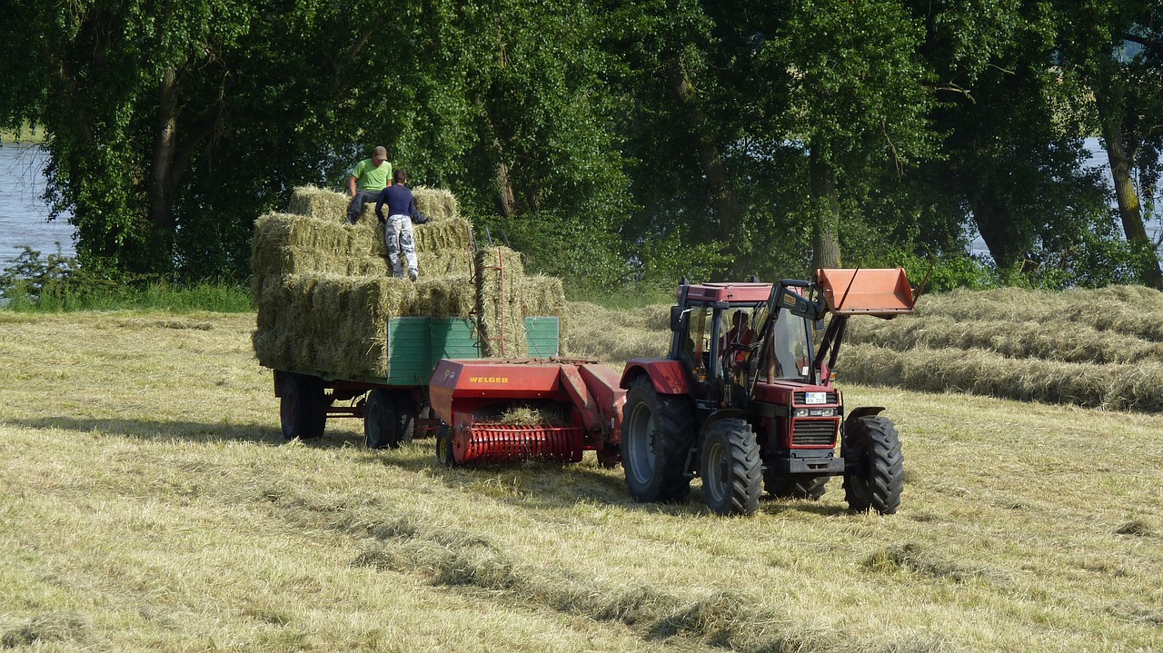 Traktoriai, Žemdirbystė, Traktorius, Šienas, Galvijų Pašarai, Raudona, Nemokamos Nuotraukos,  Nemokama Licenzija