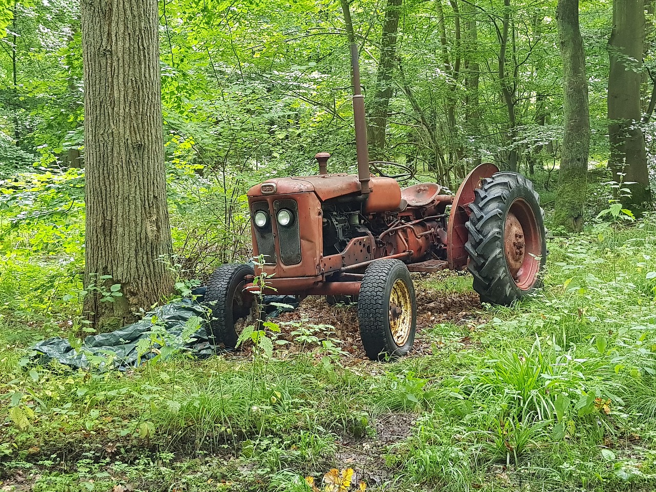 Traktoriai, Miškas, Gamta, Denmark, Oldtimer, Nemokamos Nuotraukos,  Nemokama Licenzija