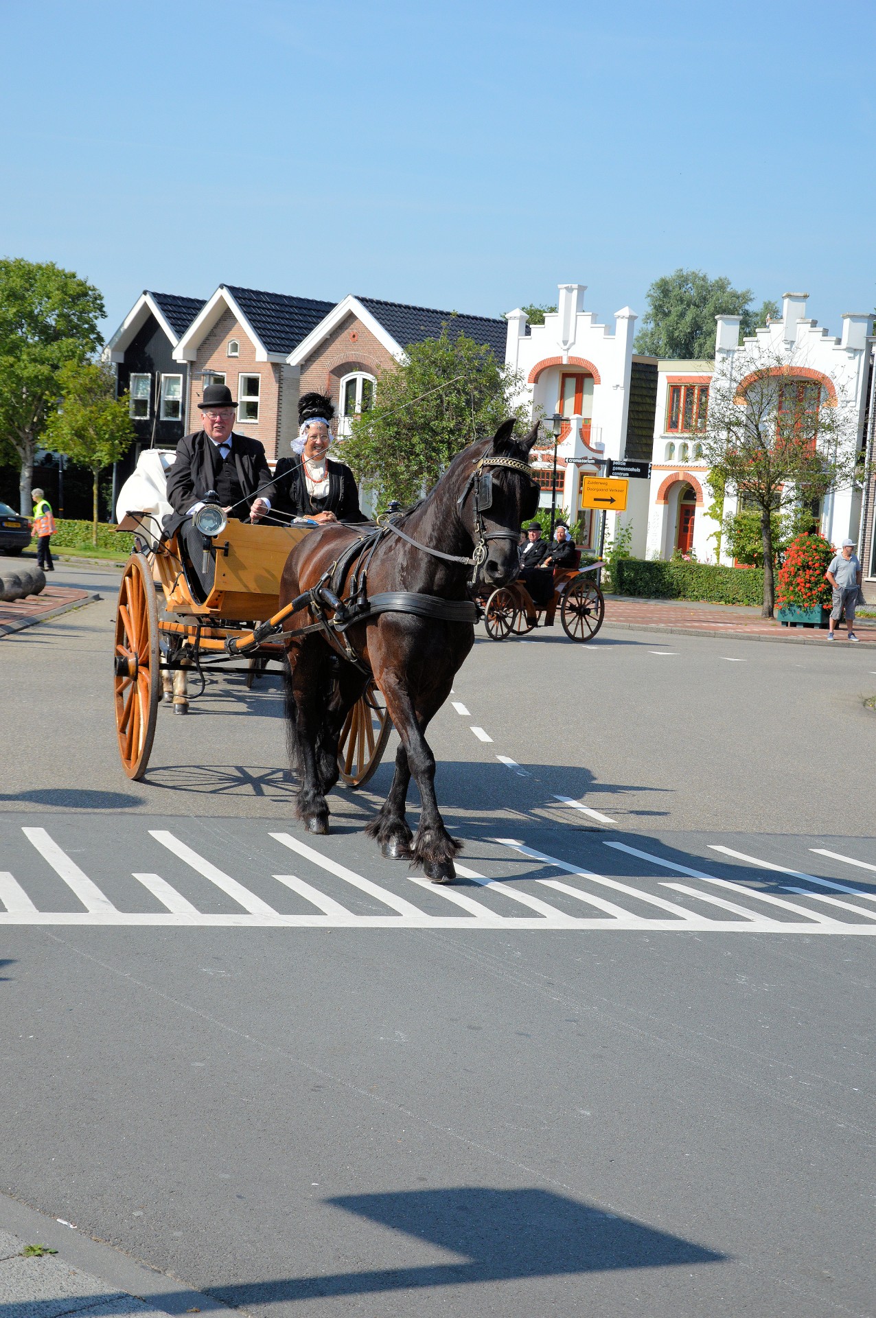 Tradicija,  Holland,  Apranga,  Kostiumas,  Padažas,  Suknelė,  Vežimėliai,  Olandų,  Rodyti,  Arkliai