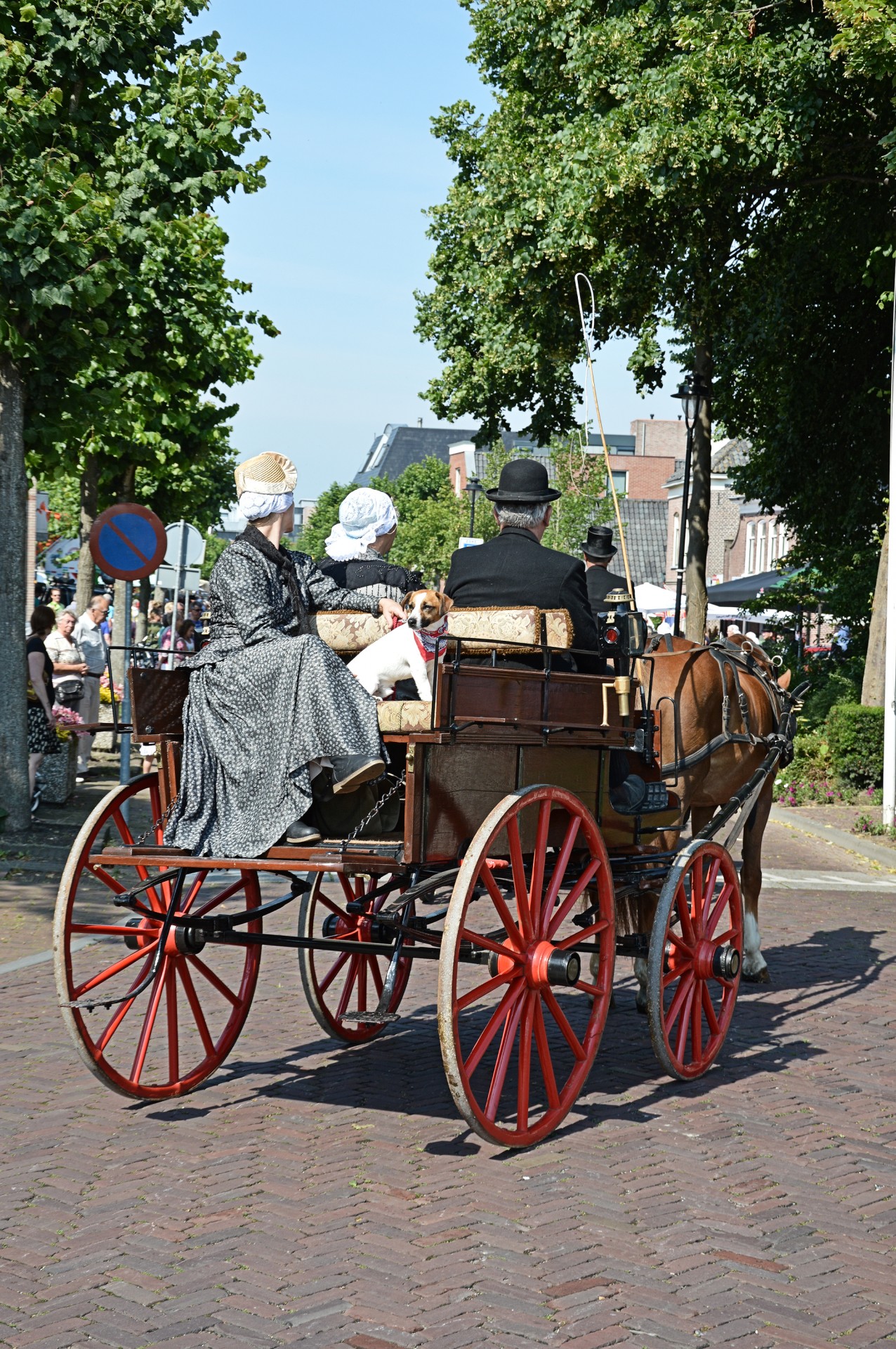 Tradicija,  Holland,  Apranga,  Kostiumas,  Padažas,  Suknelė,  Vežimėliai,  Olandų,  Rodyti,  Arkliai