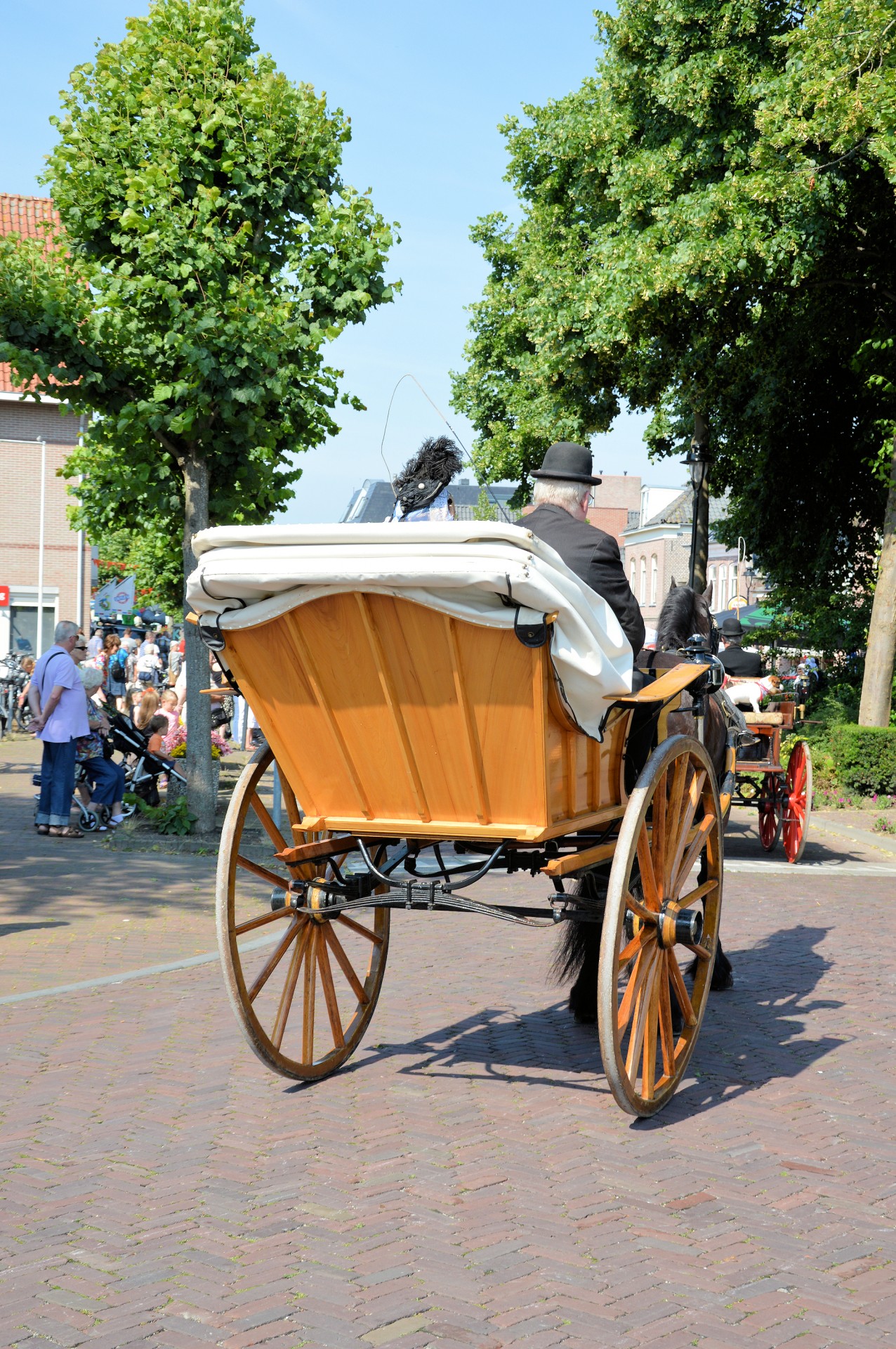 Tradicija,  Holland,  Apranga,  Kostiumas,  Padažas,  Suknelė,  Vežimėliai,  Olandų,  Rodyti,  Arkliai