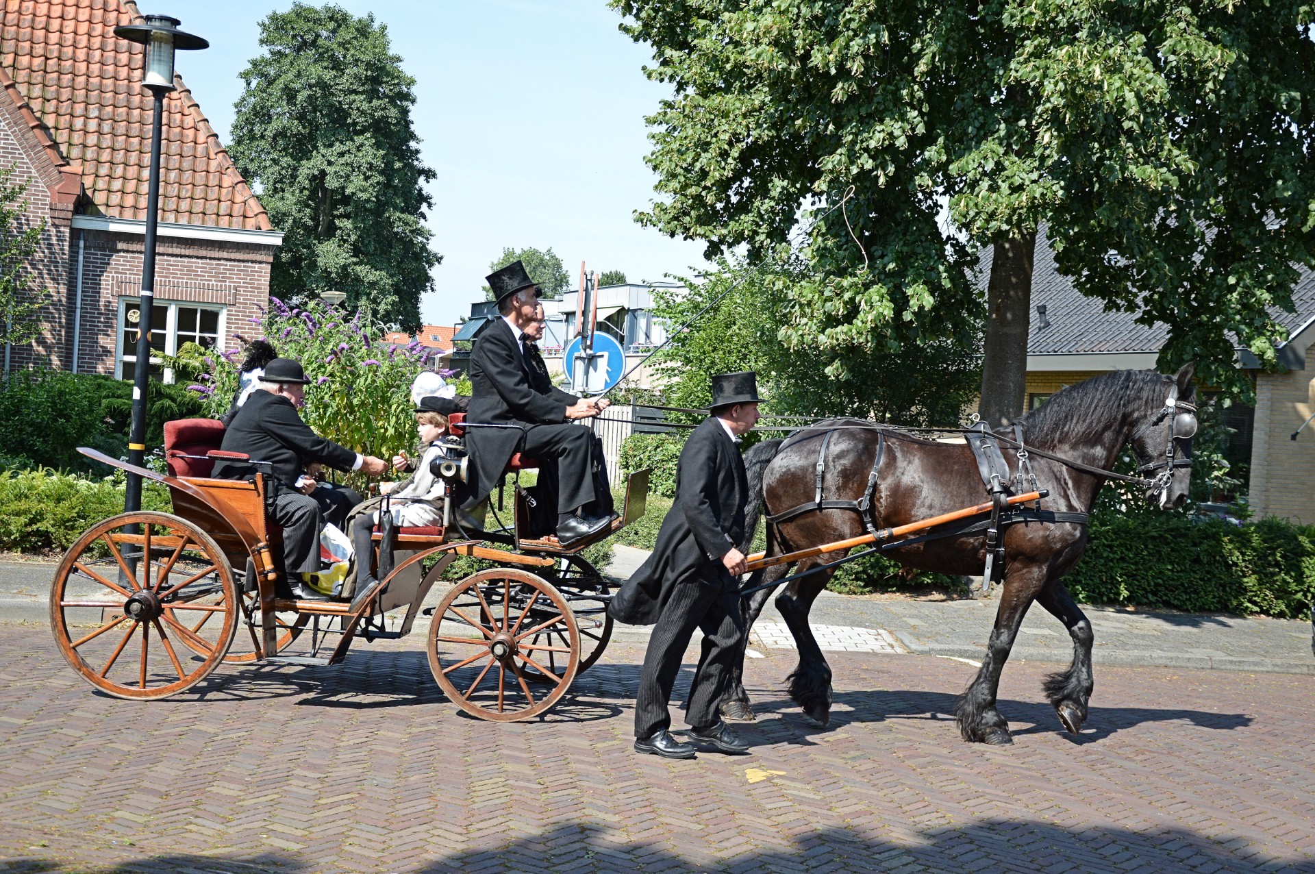 Tradicija,  Holland,  Apranga,  Kostiumas,  Padažas,  Suknelė,  Vežimėliai,  Olandų,  Rodyti,  Arkliai