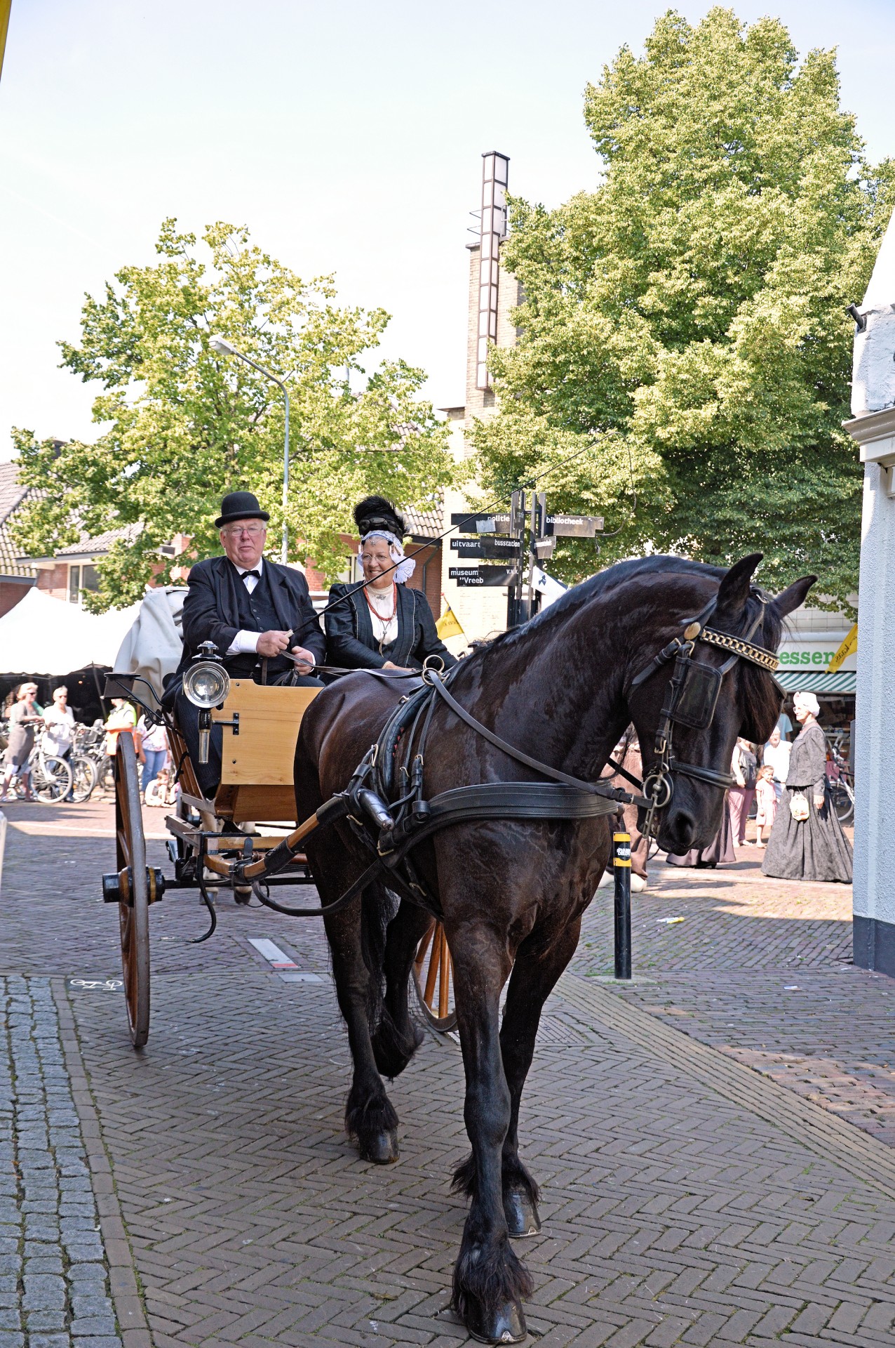 Tradicija,  Holland,  Apranga,  Kostiumas,  Padažas,  Suknelė,  Vežimėliai,  Olandų,  Rodyti,  Arkliai