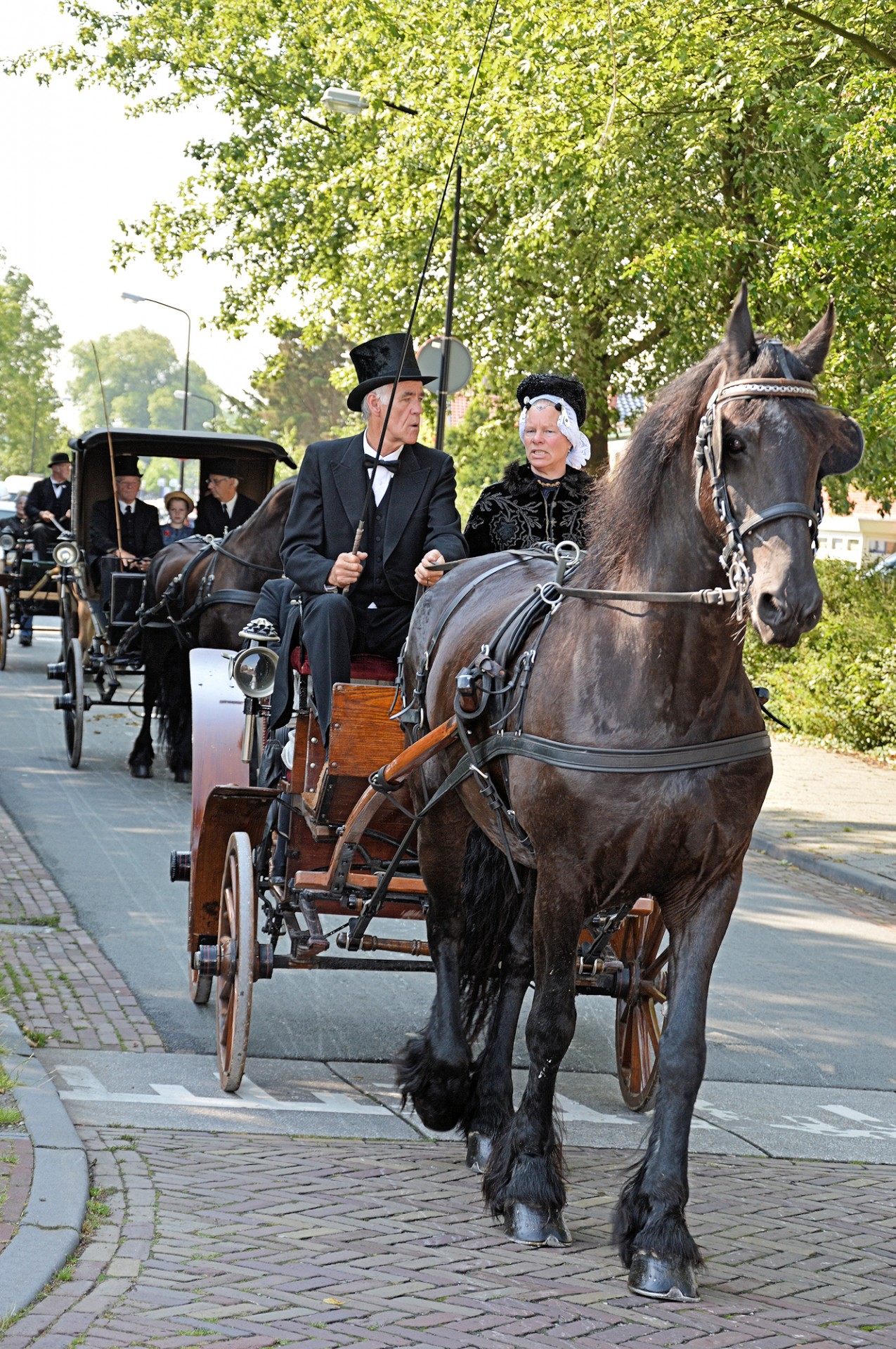 Tradicija,  Holland,  Apranga,  Kostiumas,  Padažas,  Suknelė,  Vežimėliai,  Olandų,  Rodyti,  Arkliai