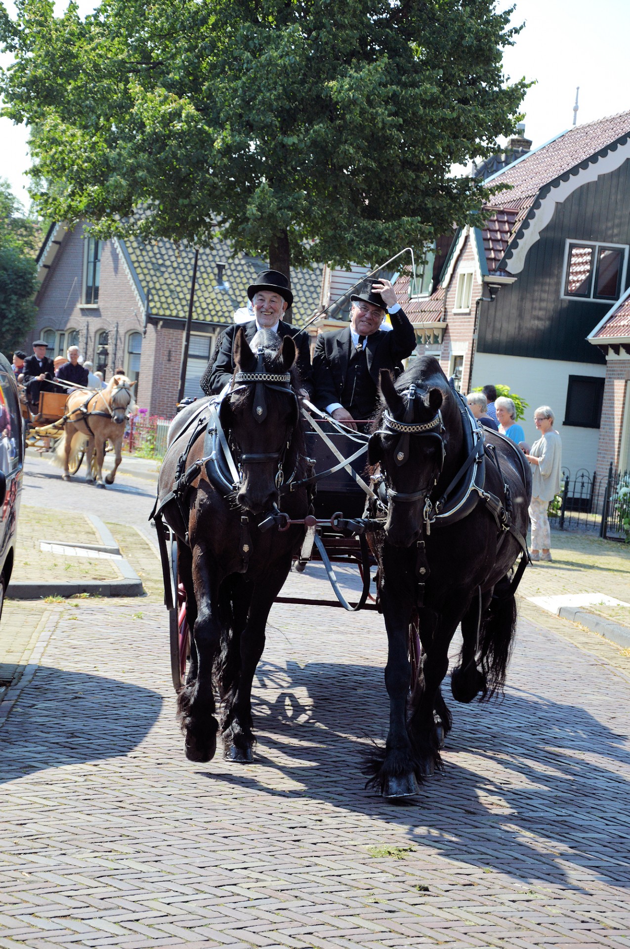 Tradicija,  Holland,  Apranga,  Kostiumas,  Padažas,  Suknelė,  Vežimėliai,  Olandų,  Rodyti,  Arkliai