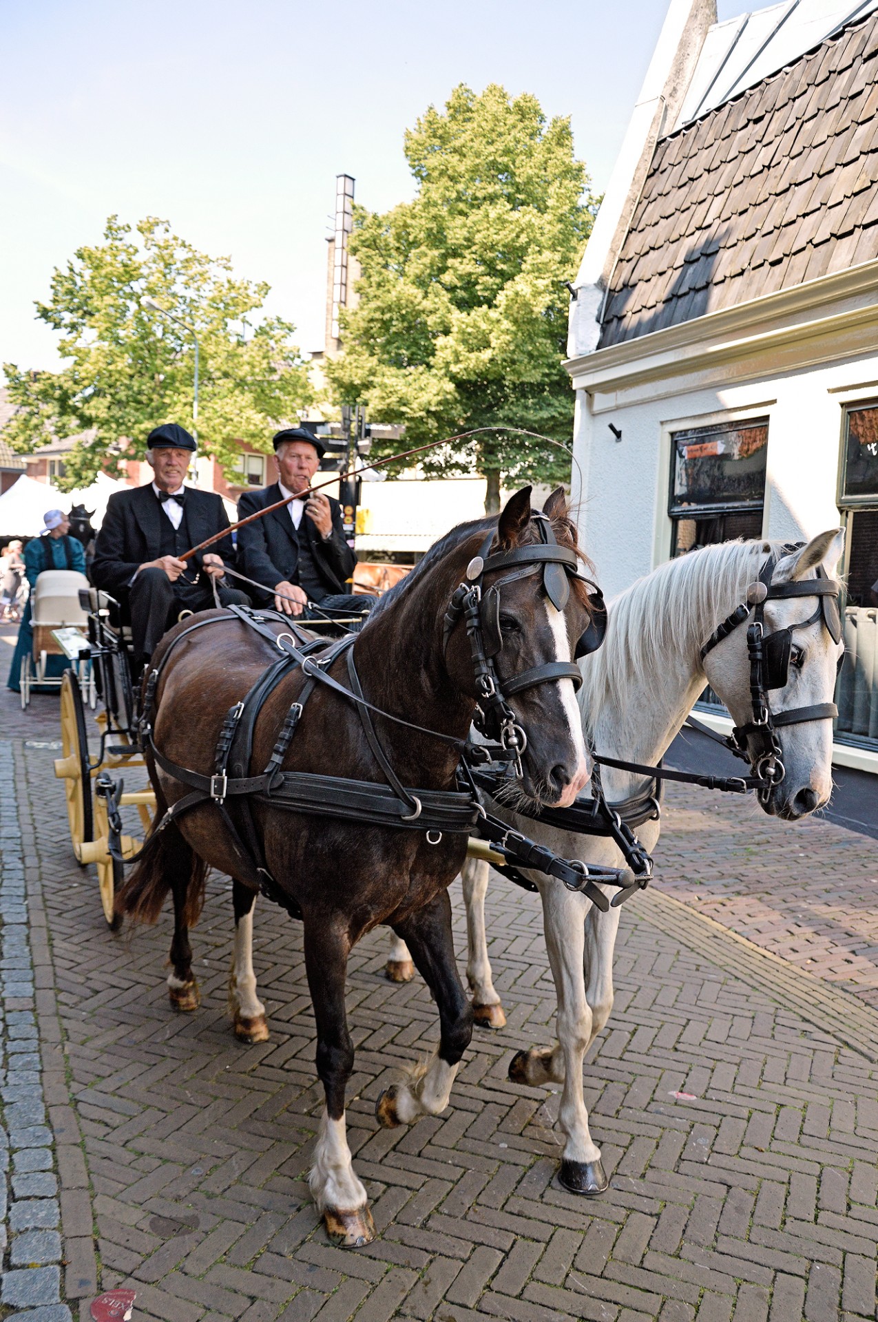 Tradicija,  Holland,  Apranga,  Kostiumas,  Padažas,  Suknelė,  Vežimėliai,  Olandų,  Rodyti,  Arkliai